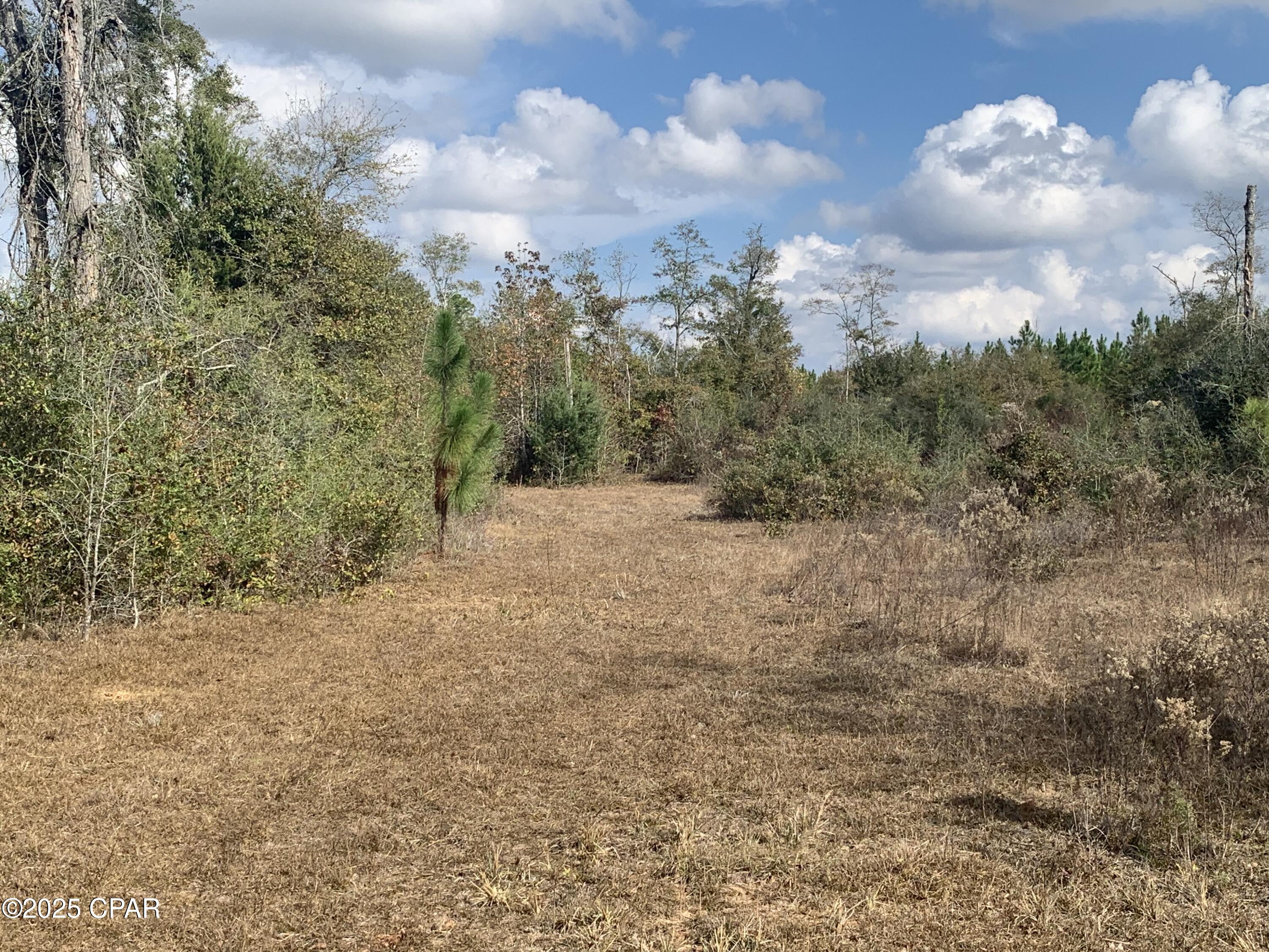 Image 66 For 8225 County Road 12