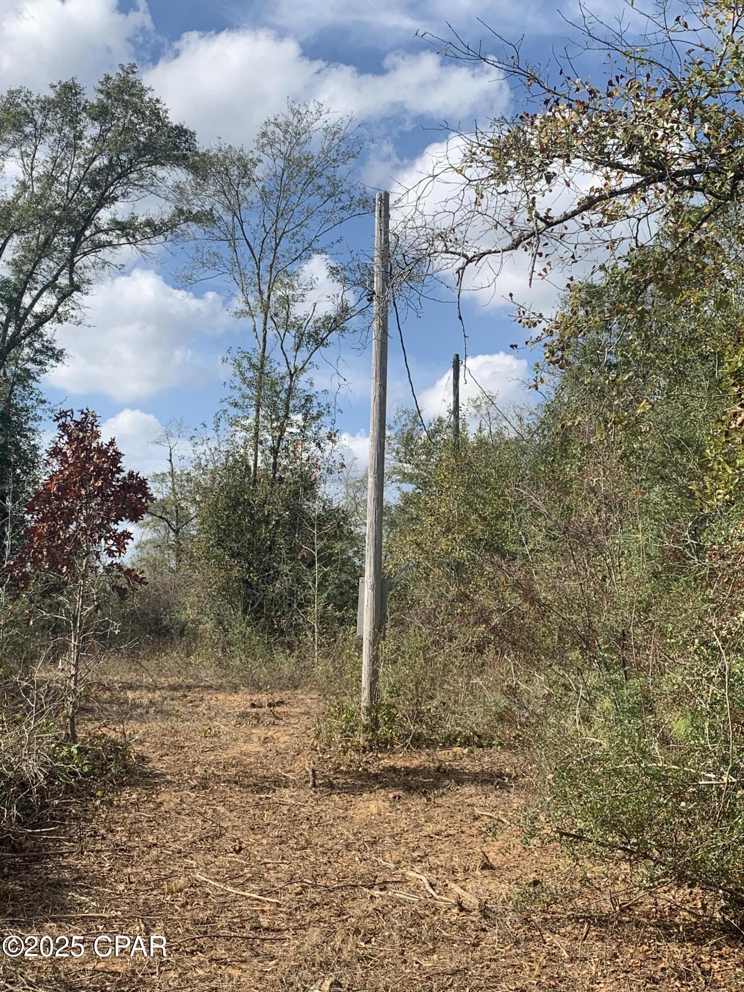 Image 67 For 8225 County Road 12