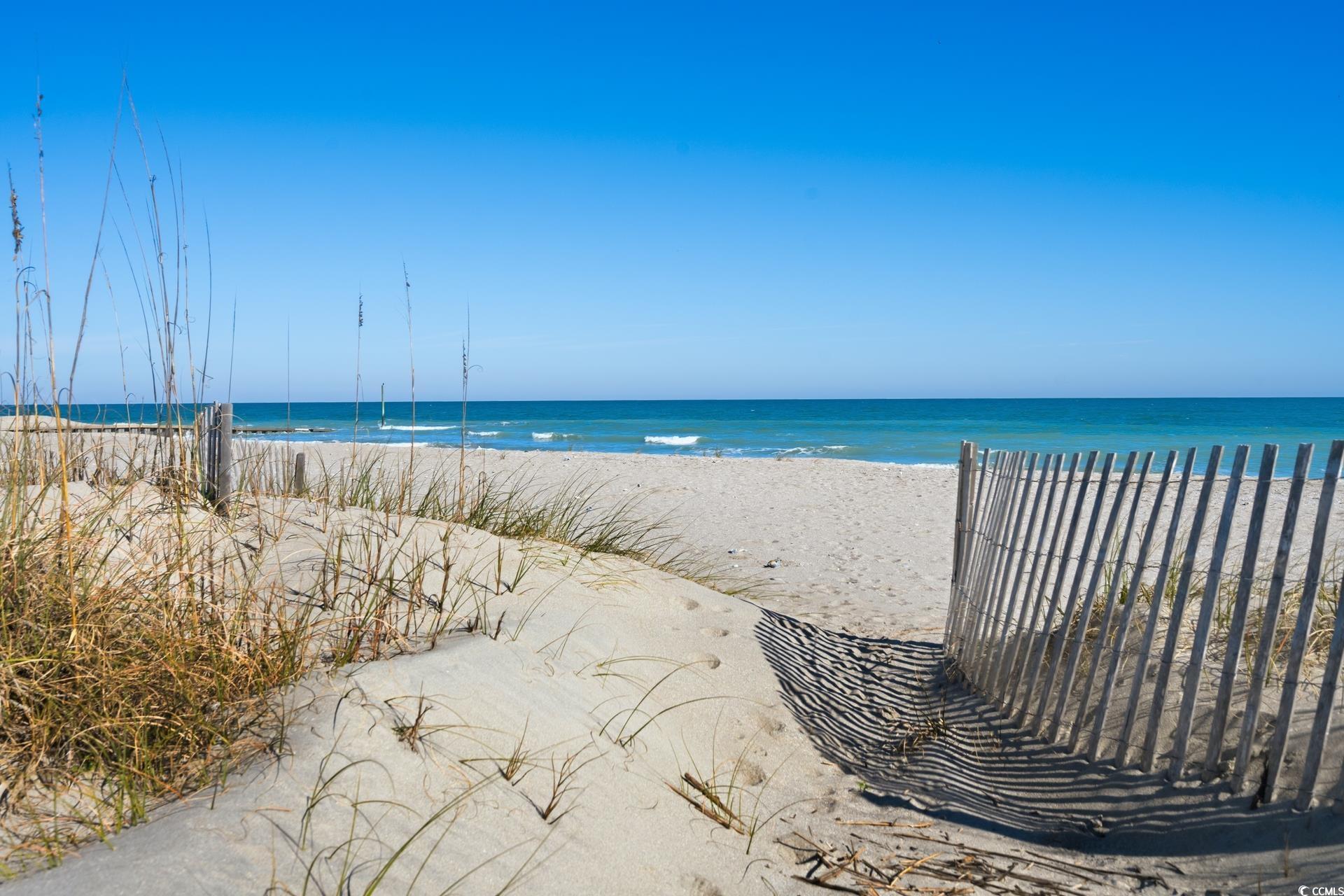 2528418 | Photo 7