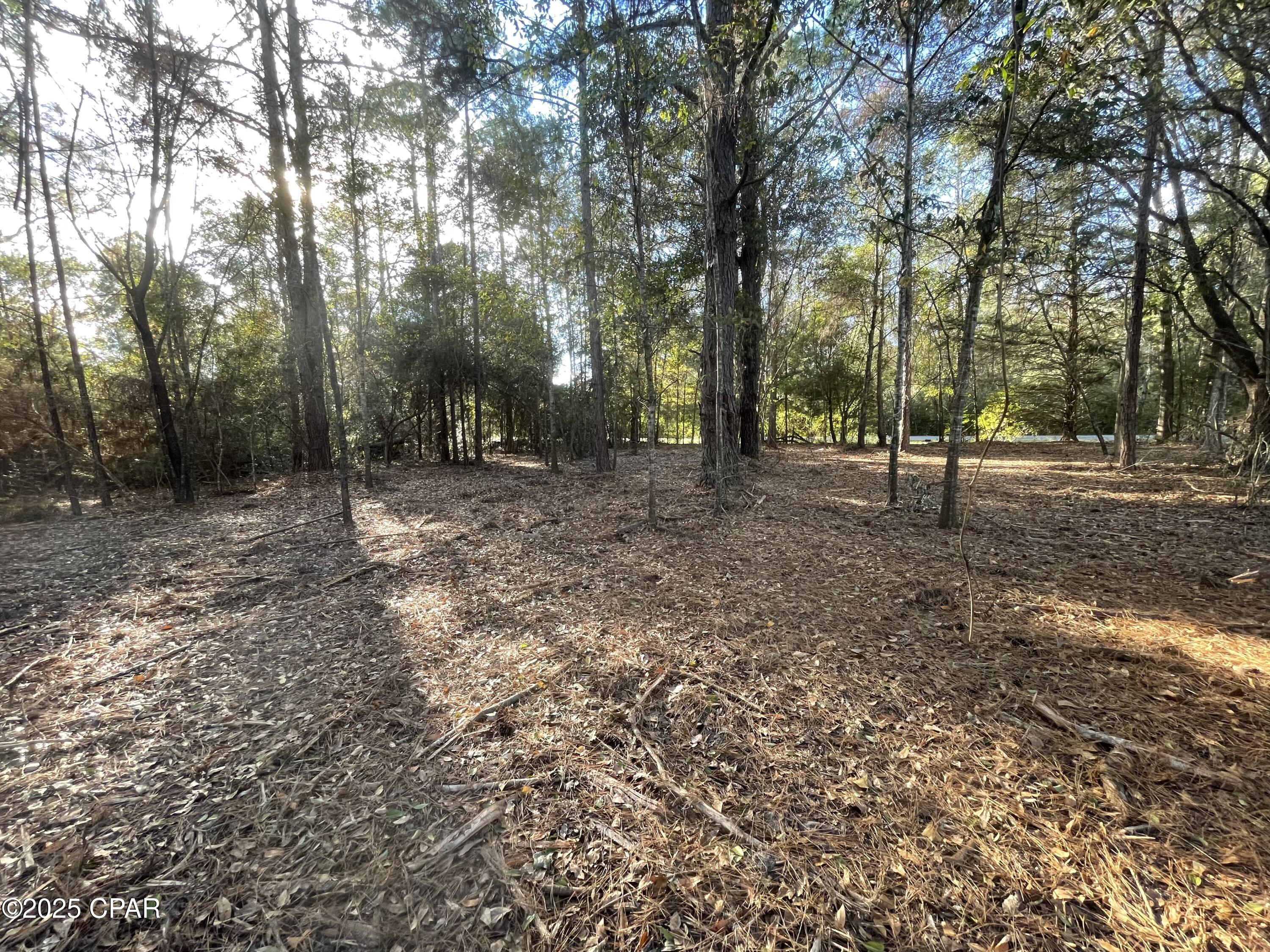 Image 10 For 1555 Highway 177a