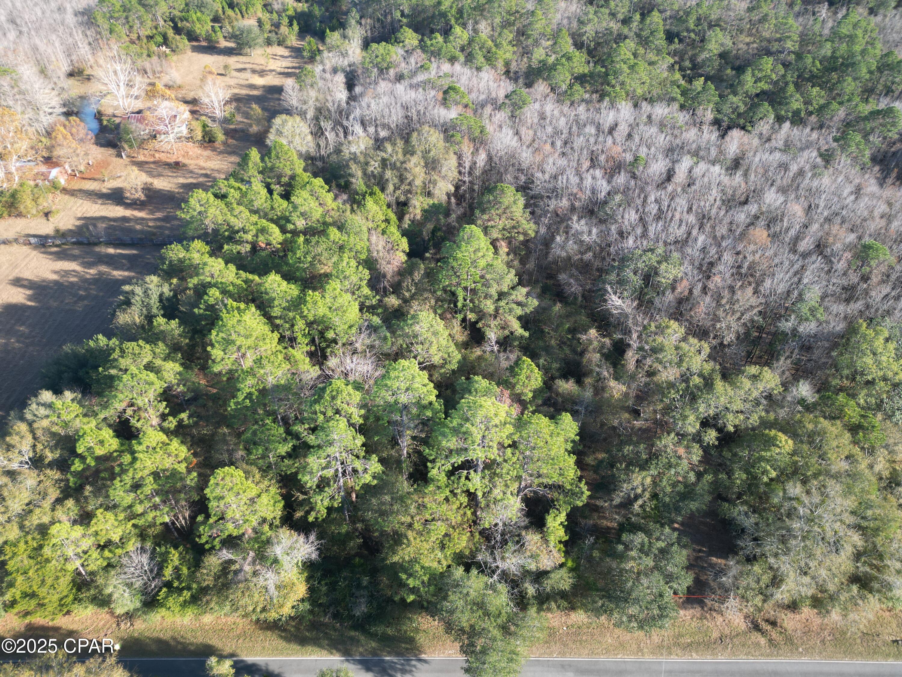 Image 2 For 1555 Highway 177a