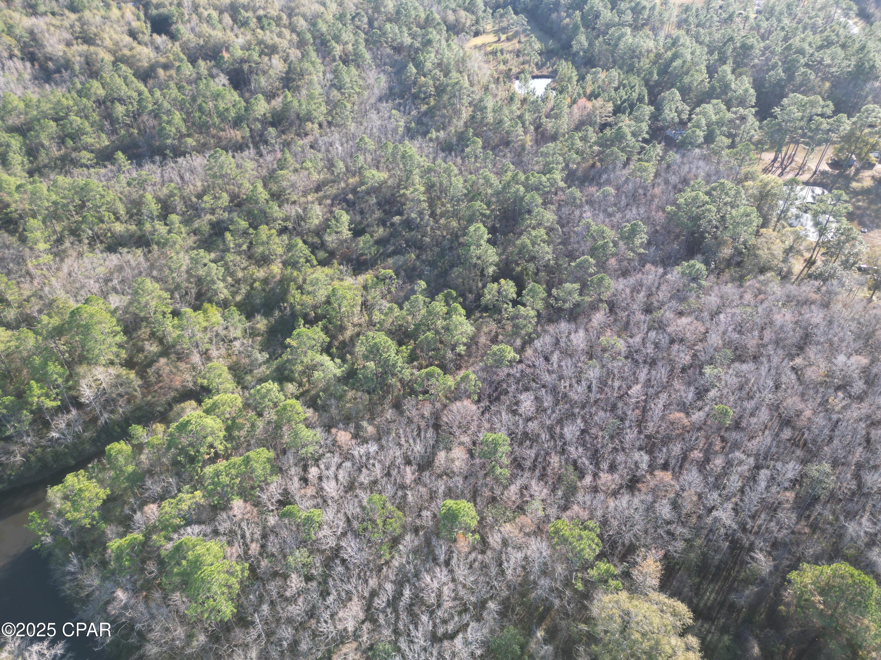 Image 3 For 1555 Highway 177a