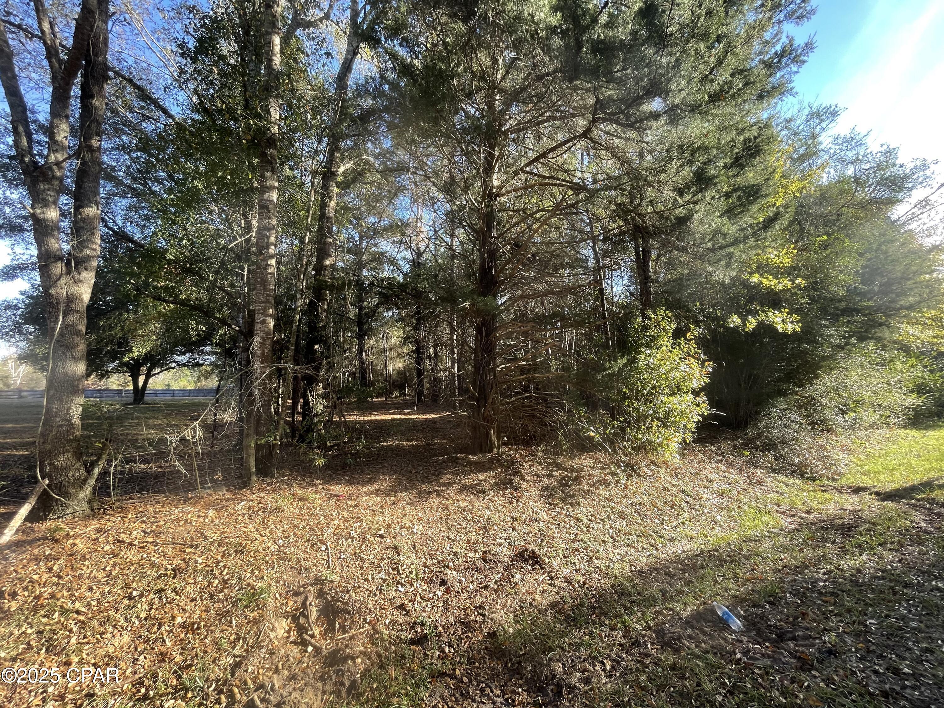 Image 7 For 1555 Highway 177a