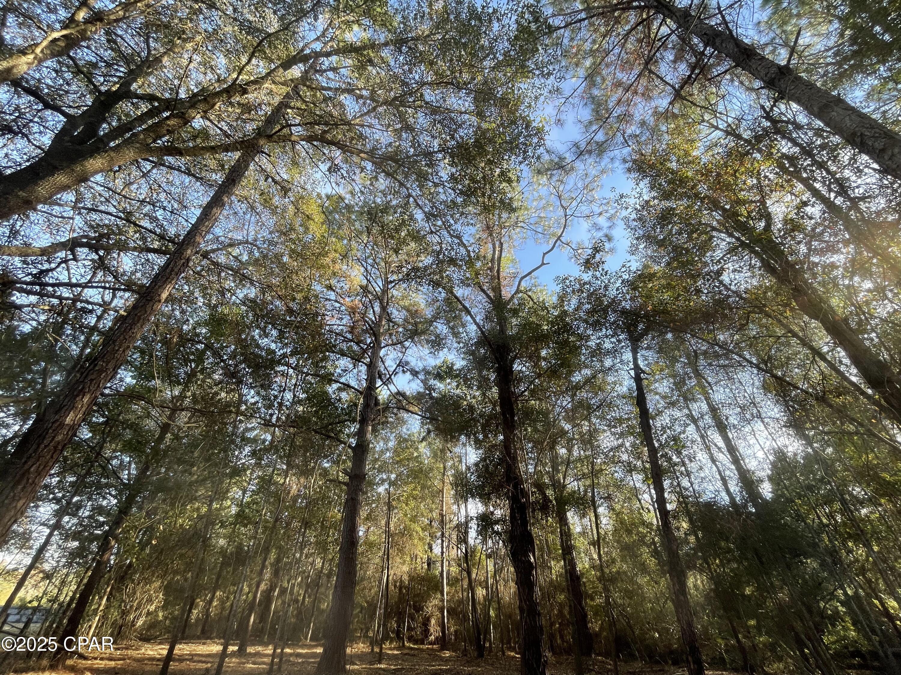 Image 9 For 1555 Highway 177a