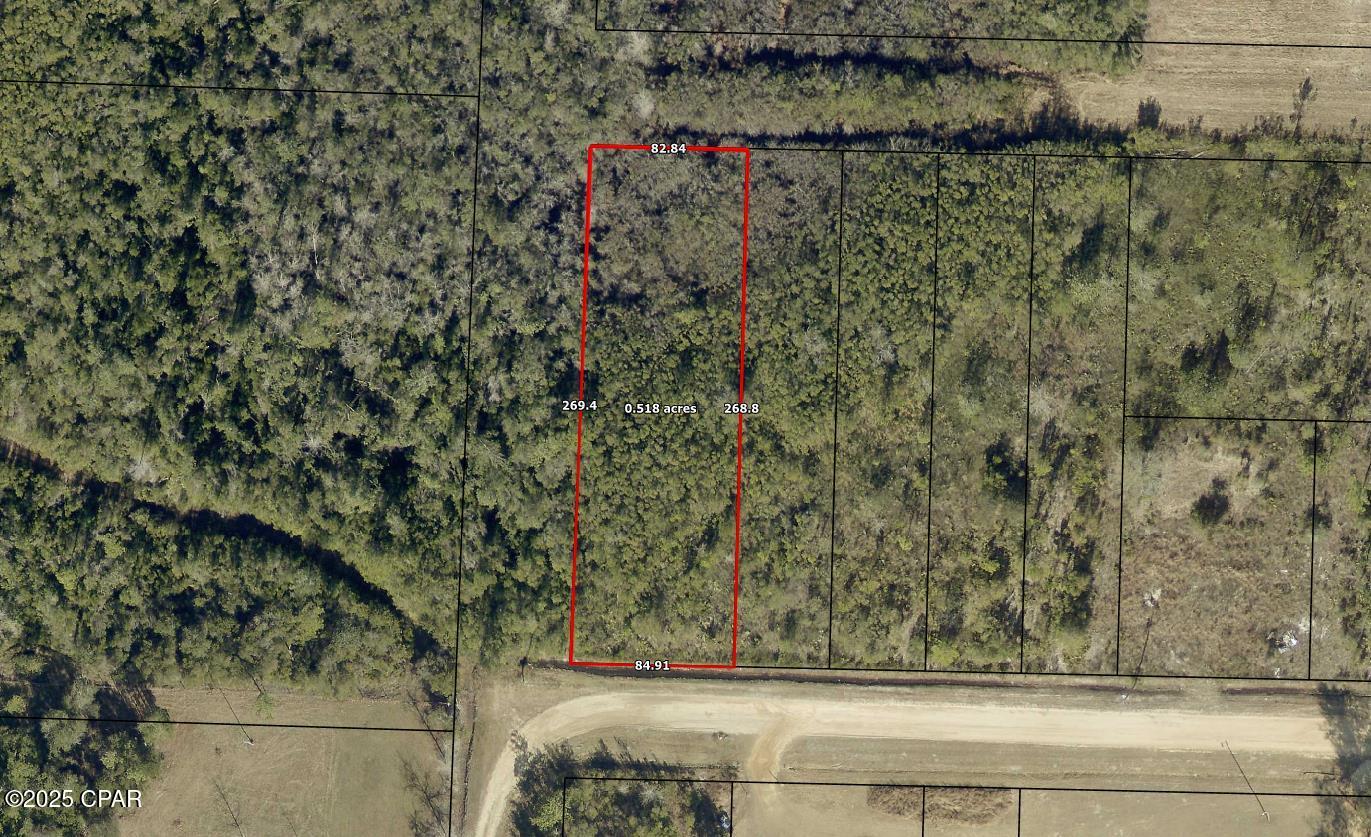 Image 3 For 11703 Magnolia Street