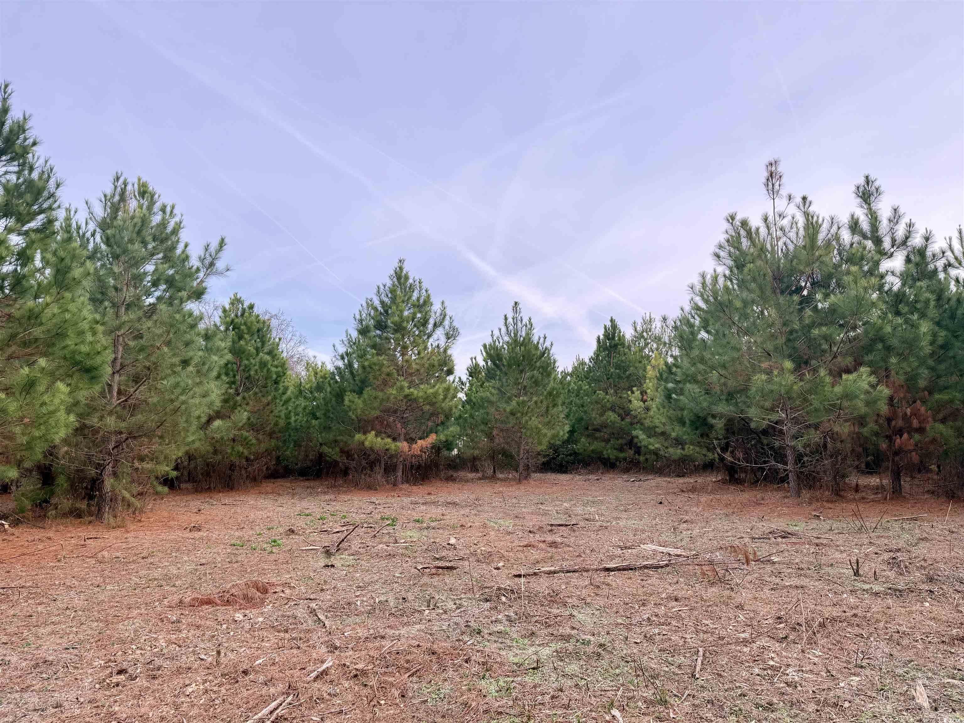 Lot 2 - TB New Pine Rd. Johnsonville, SC 29555