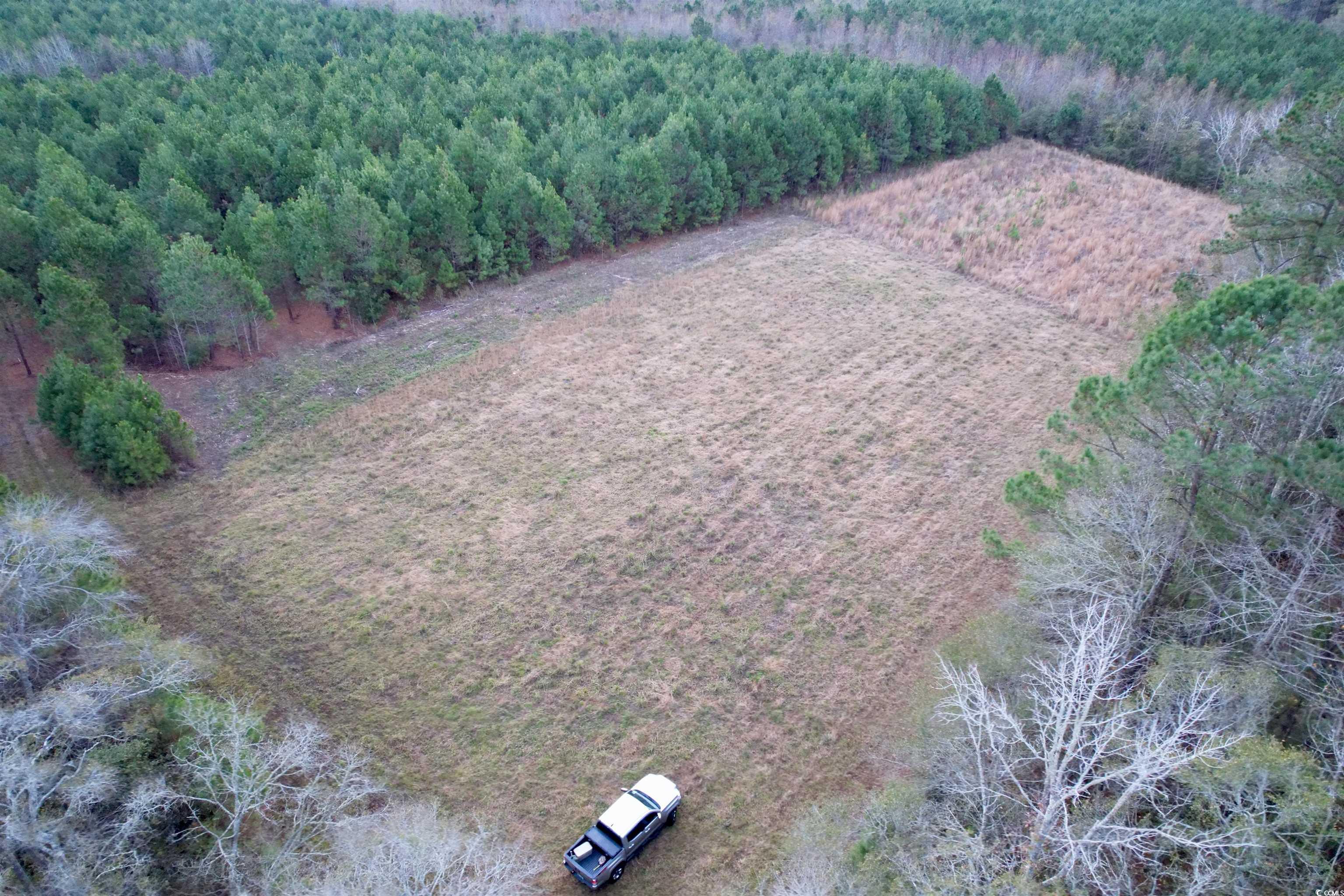 Lot 1 - TB New Pine Rd. Johnsonville, SC 29555