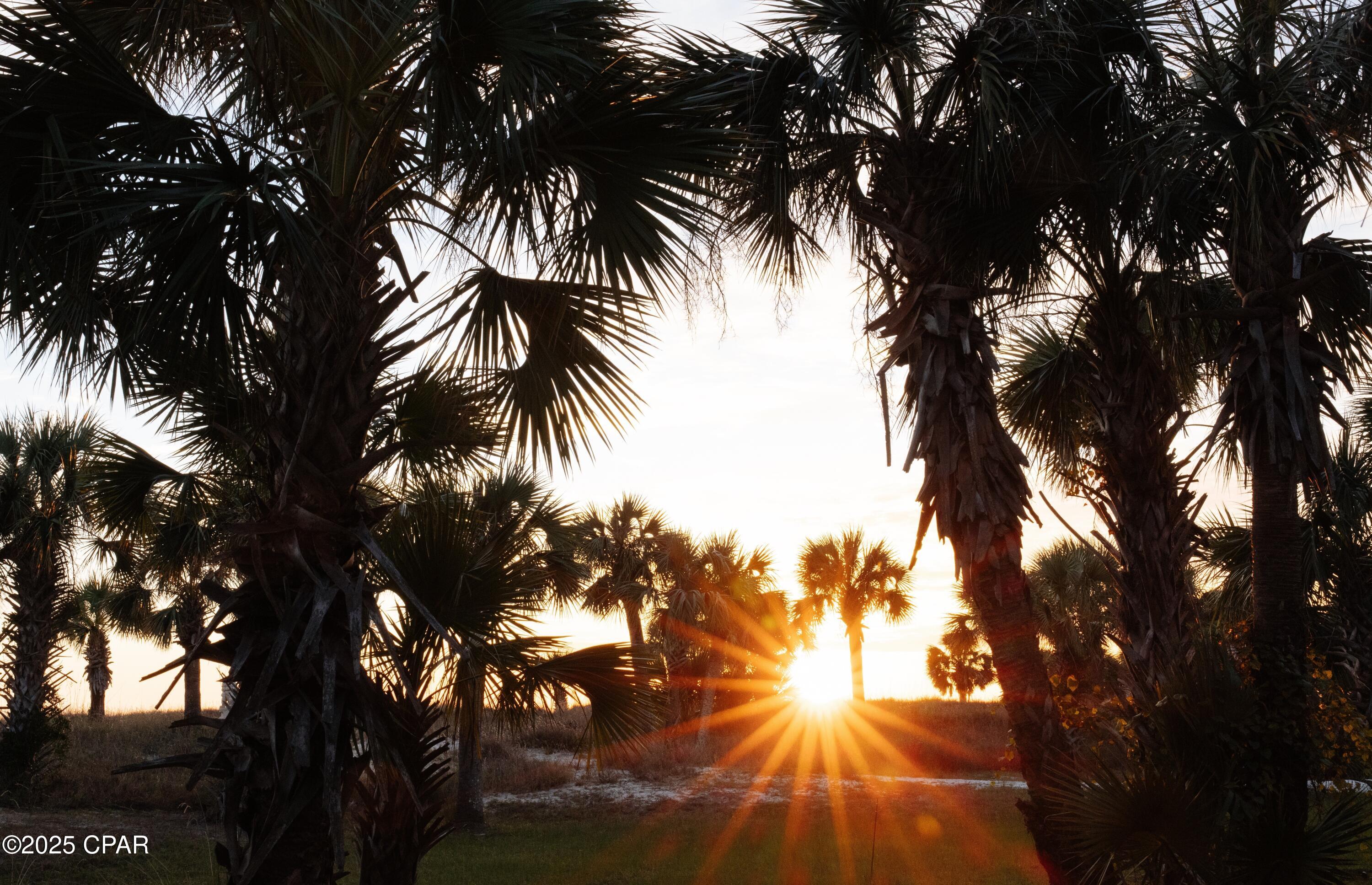 Listing photo id 39 for 1316 Indian Pass Road