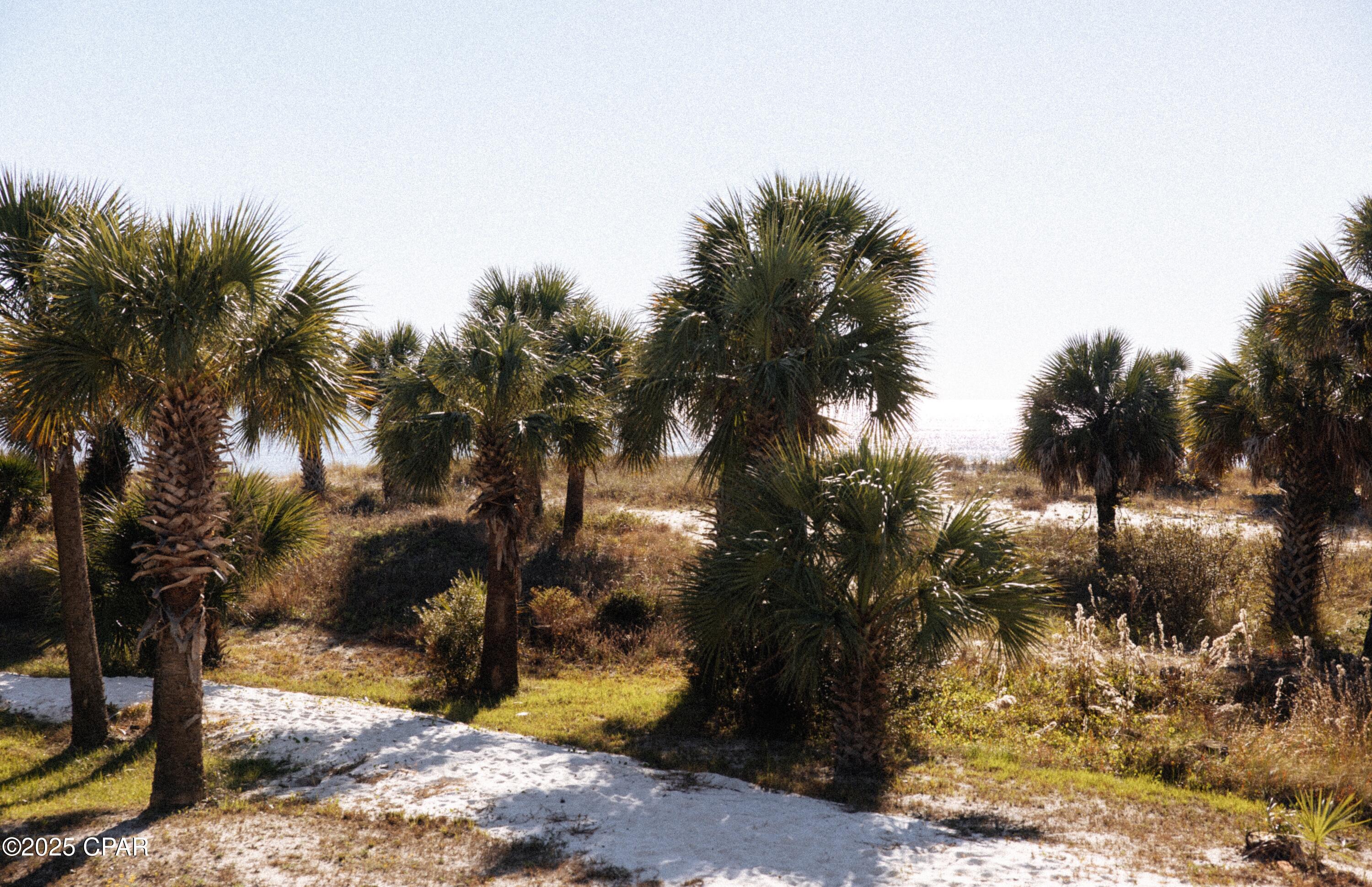 Listing photo id 40 for 1316 Indian Pass Road