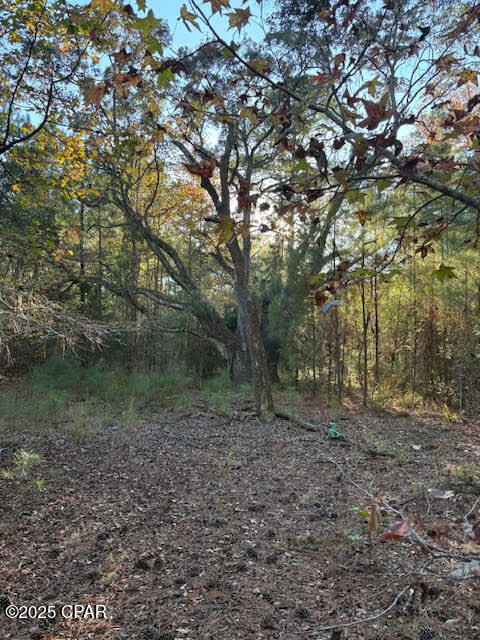 Details for 3389 Gainer Road, Chipley, FL 32428