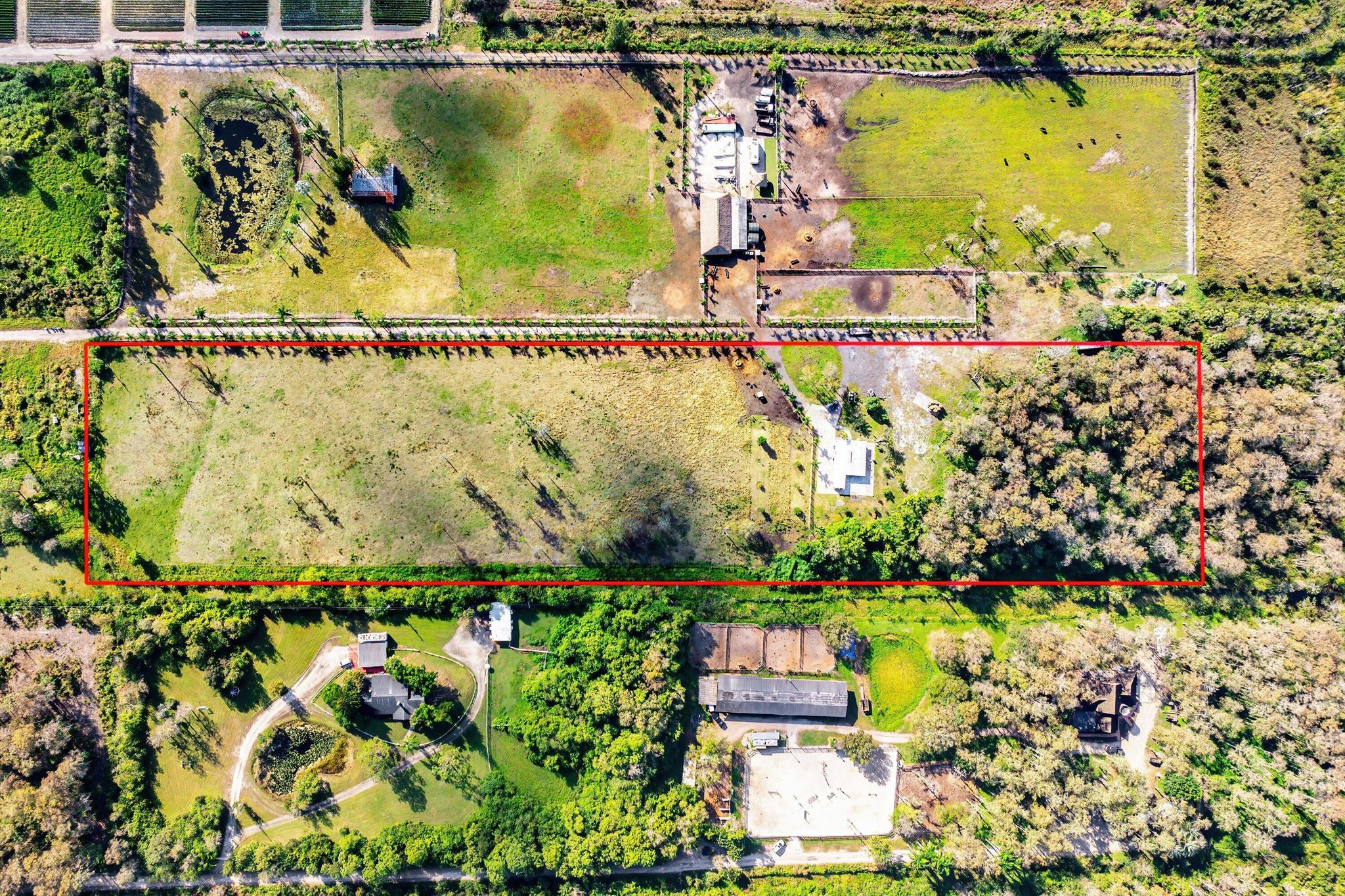 King South King Niebel To