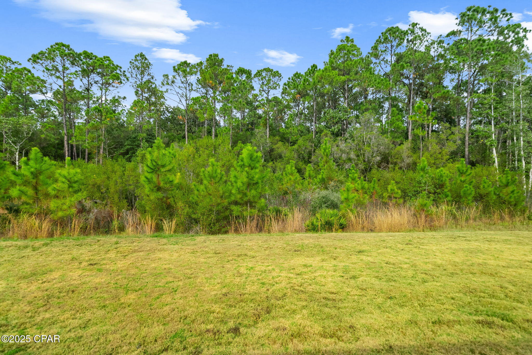 Image 35 For 9204 Caribbean Soul Way