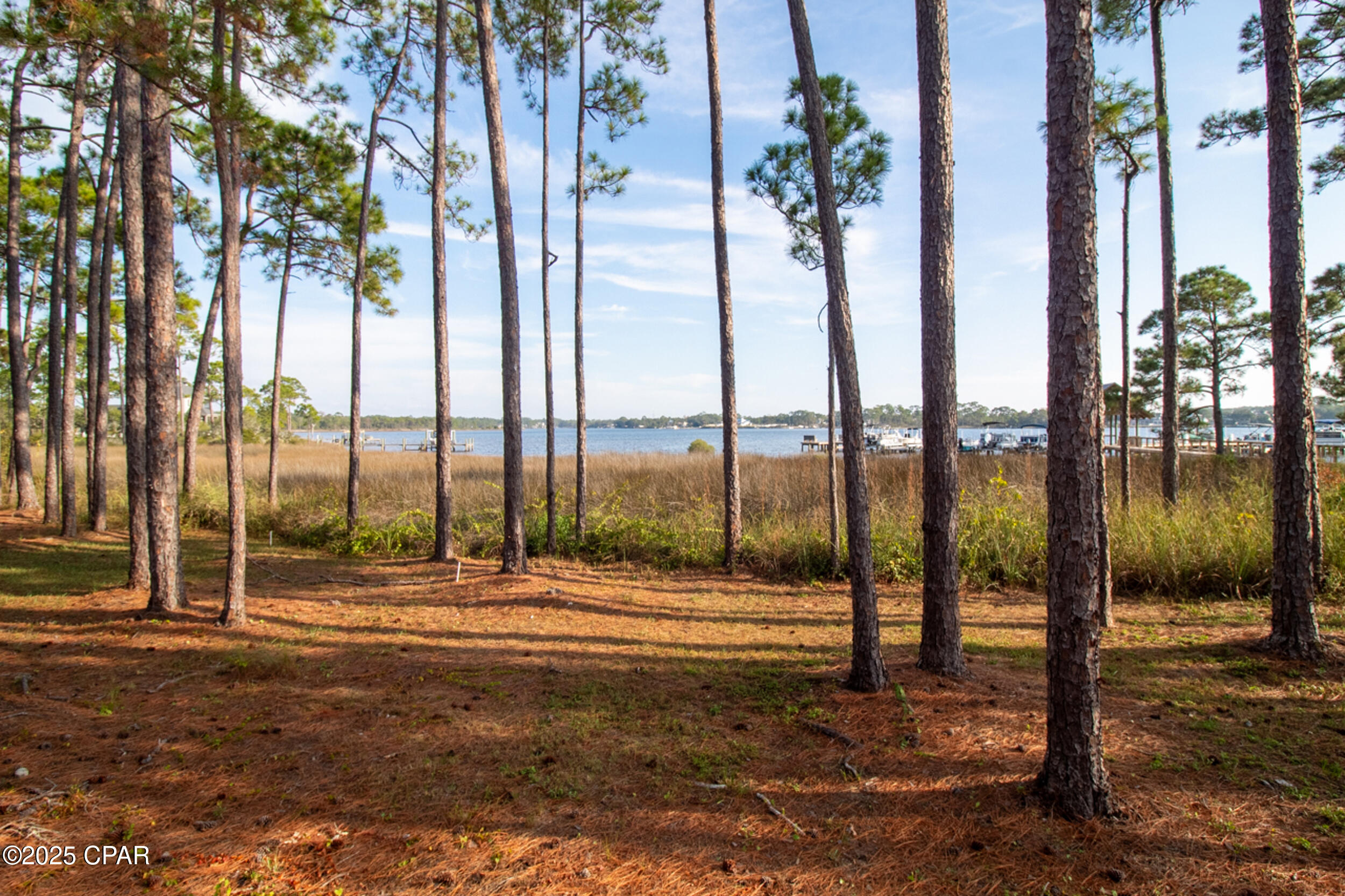 Image 104 For 1101 Prospect Promenade  403