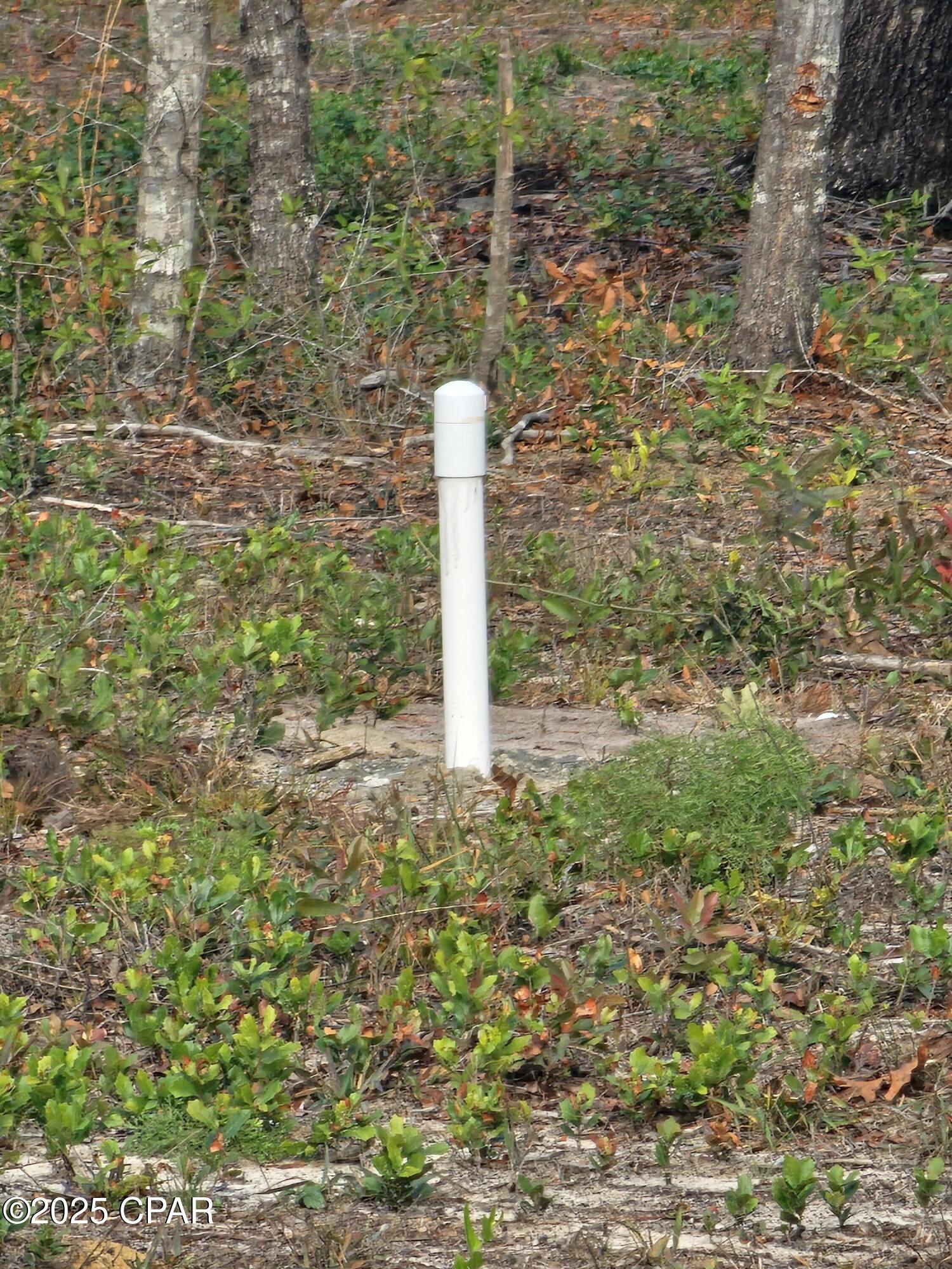 Image 3 For 10433 Western Road