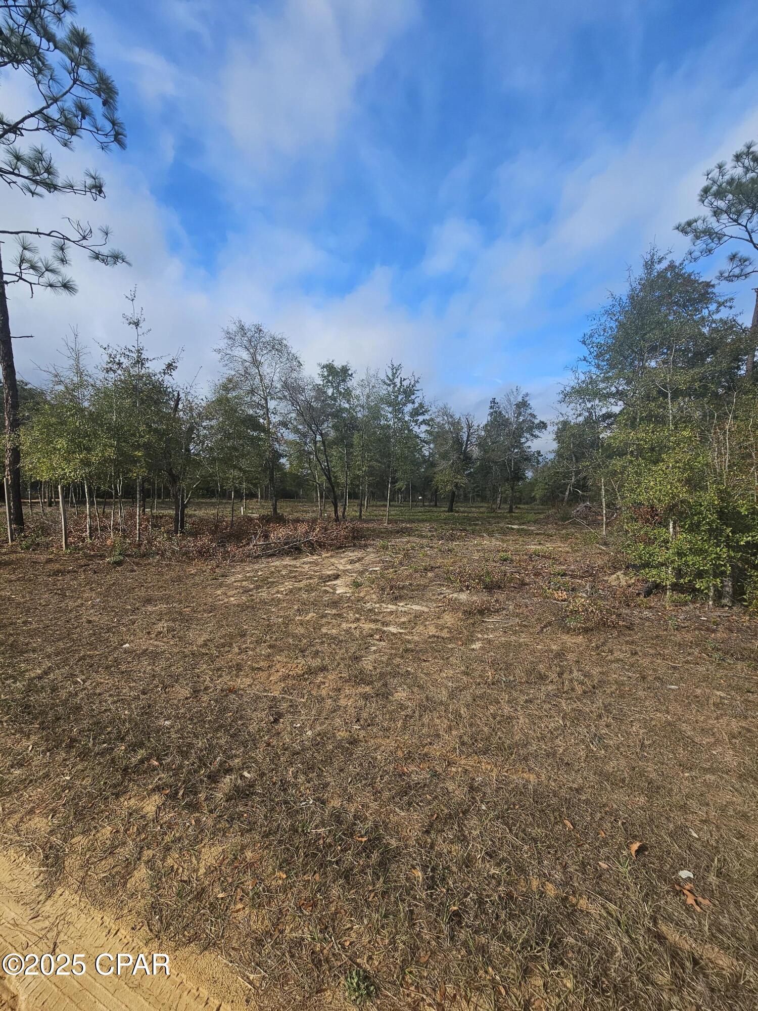 Image 6 For 10433 Western Road