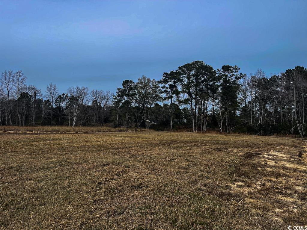 Lot 7 Rena Ln Conway, SC 29527