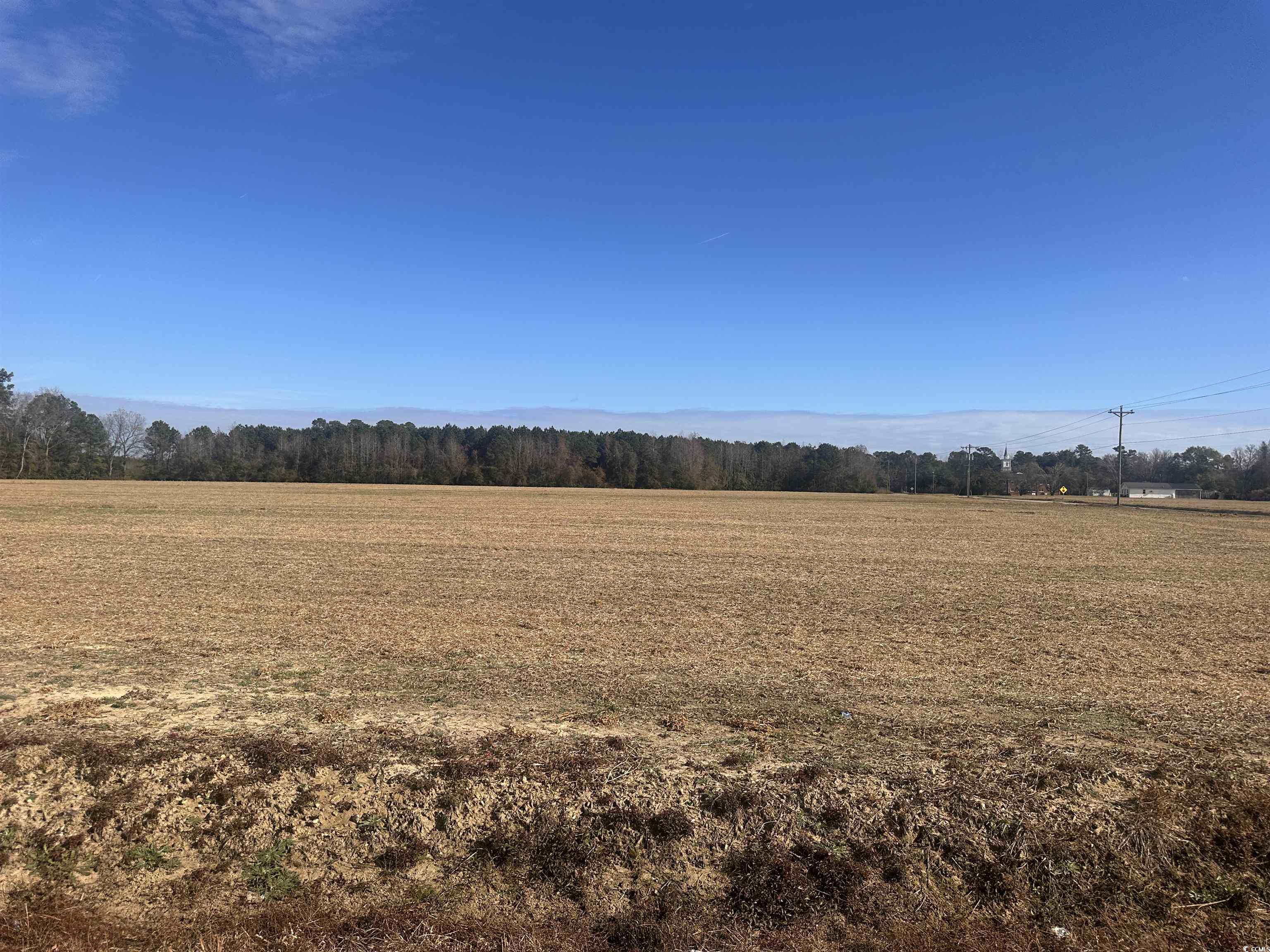 SE Elvington Rd. Nichols, SC 29581