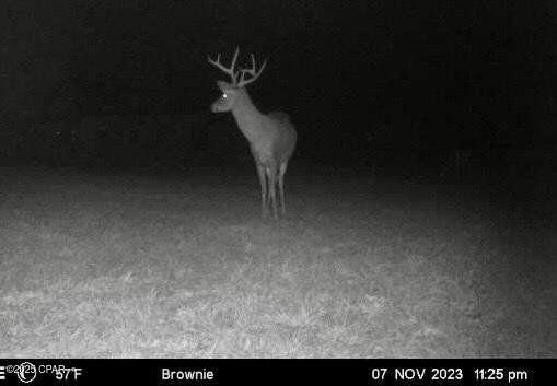 Image 19 For 908 Caryville Road