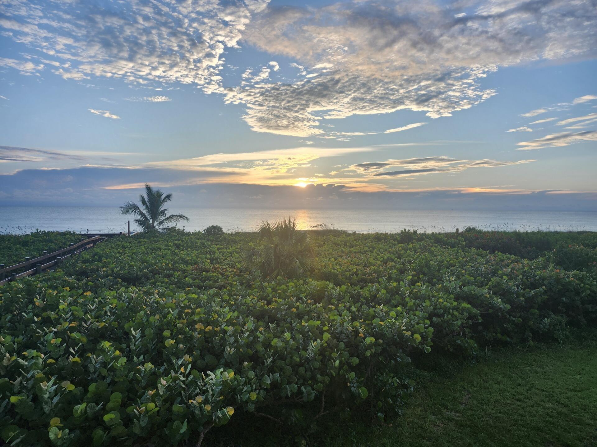 Hibiscus By The Sea Condo
