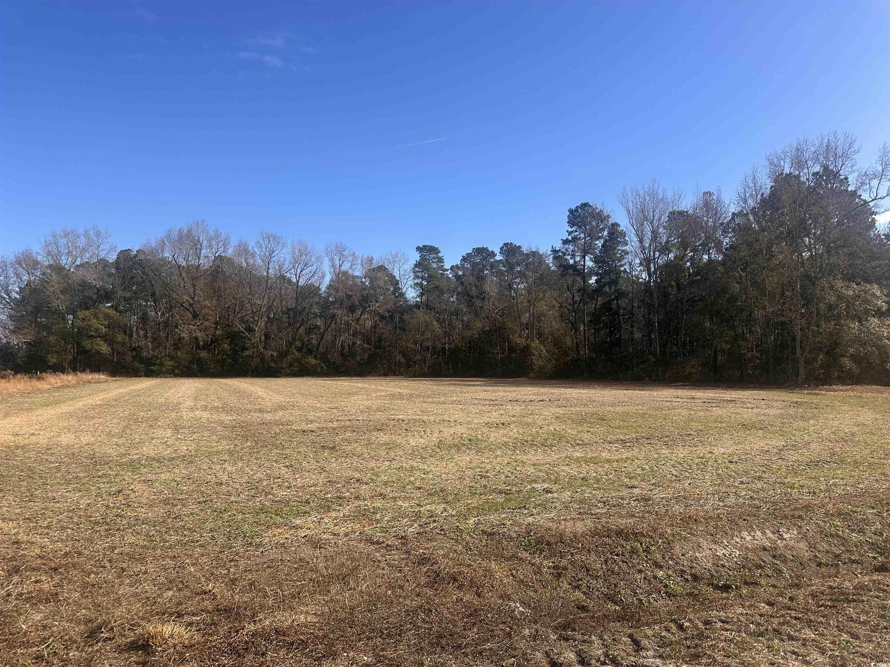 SE Elvington Rd. Nichols, SC 29581