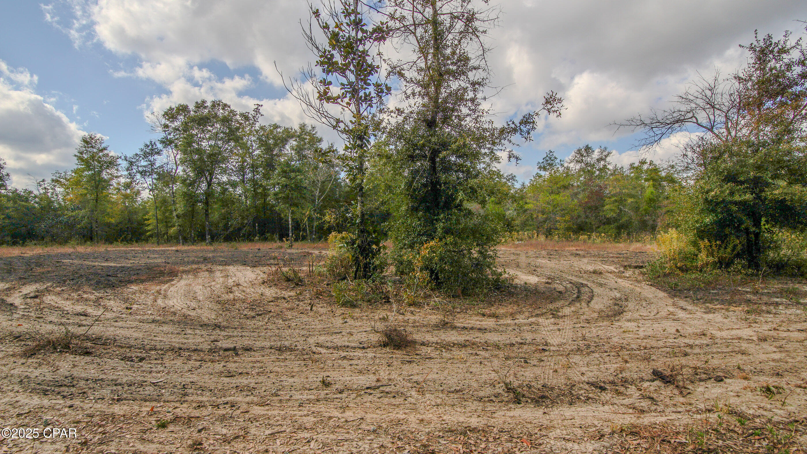 Listing photo id 12 for 12299 Nonawood Road