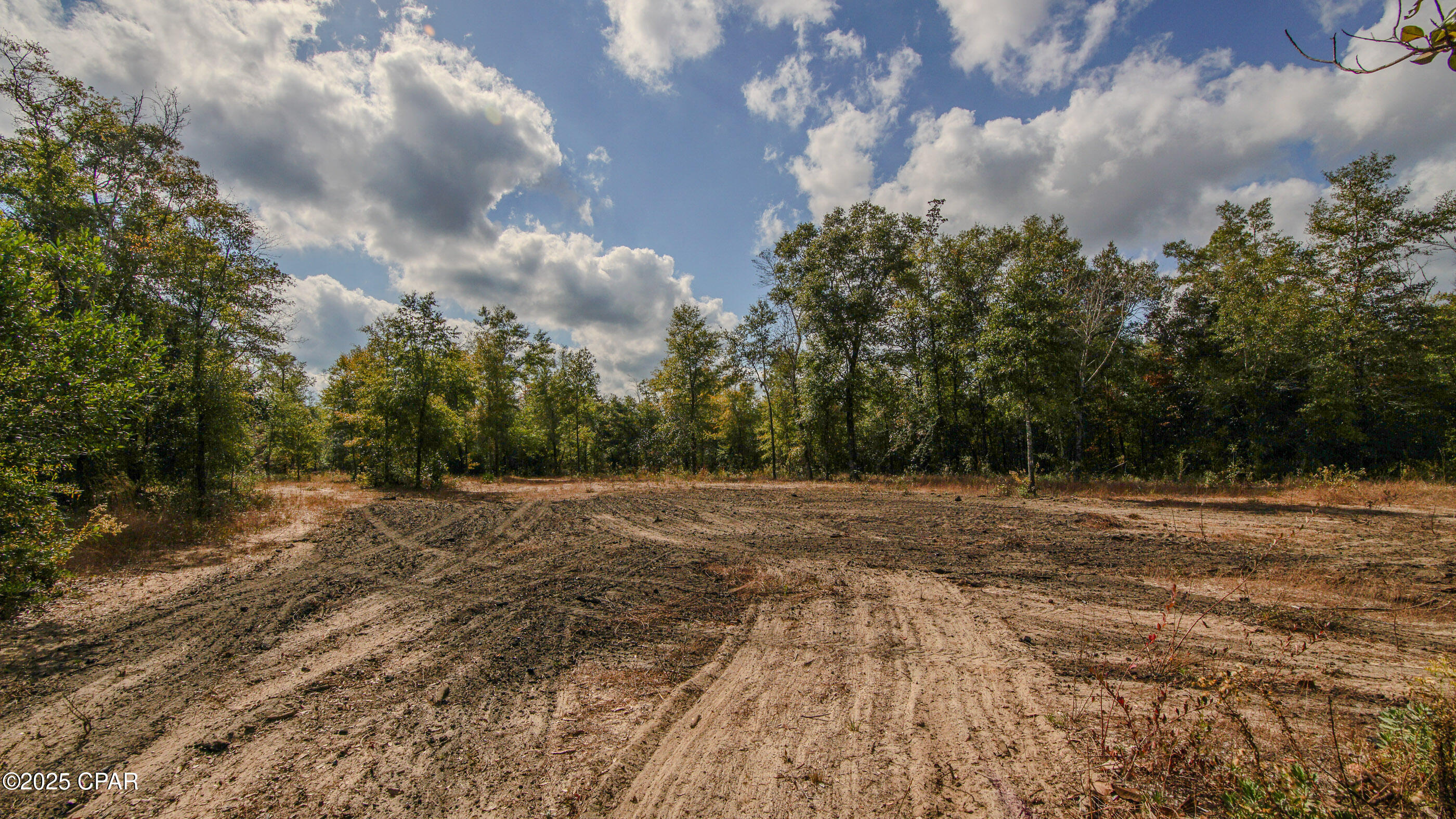 Listing photo id 13 for 12299 Nonawood Road