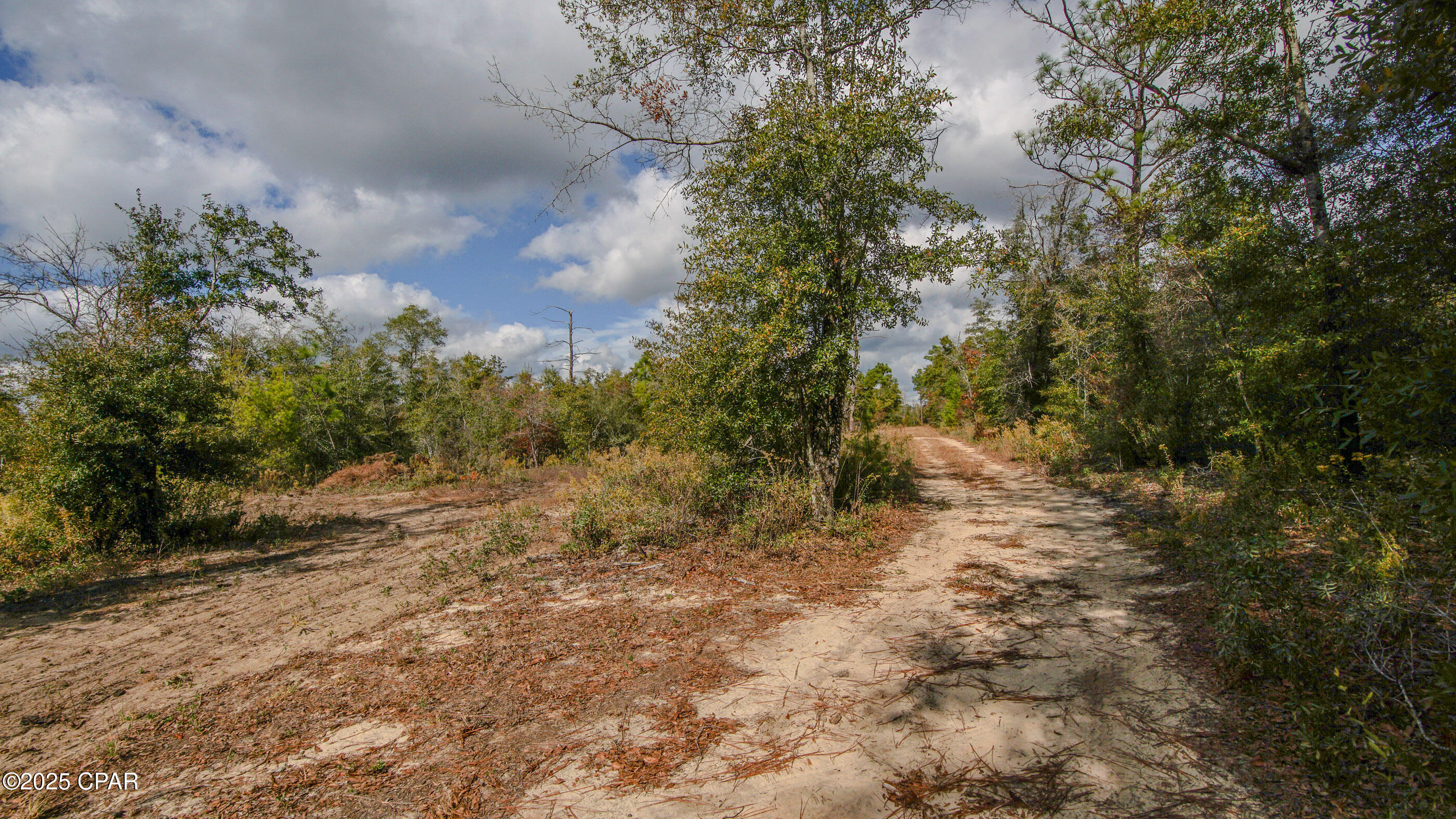 Listing photo id 14 for 12299 Nonawood Road