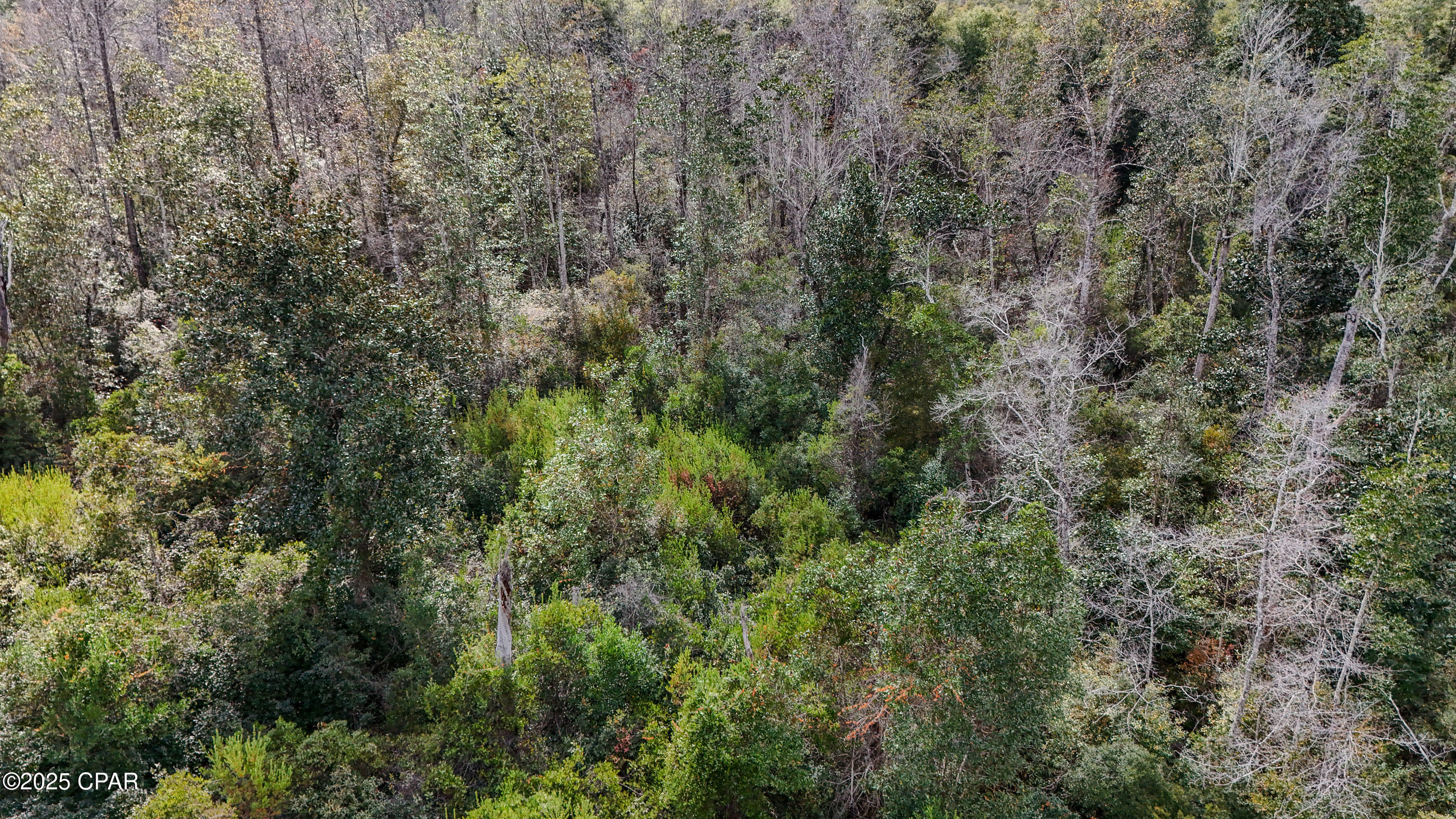 Image 15 For 12299 Nonawood Road