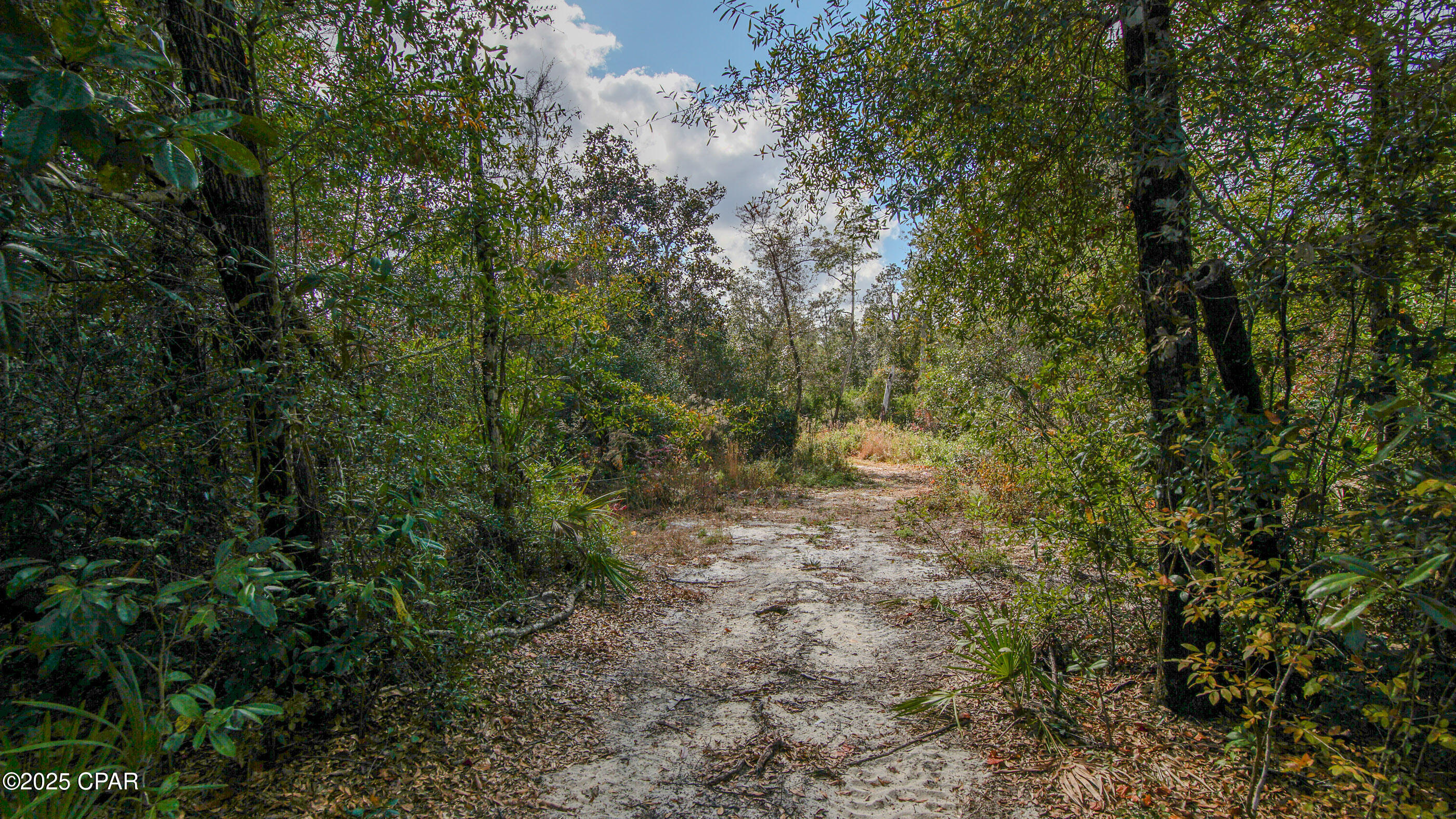 Listing photo id 18 for 12299 Nonawood Road