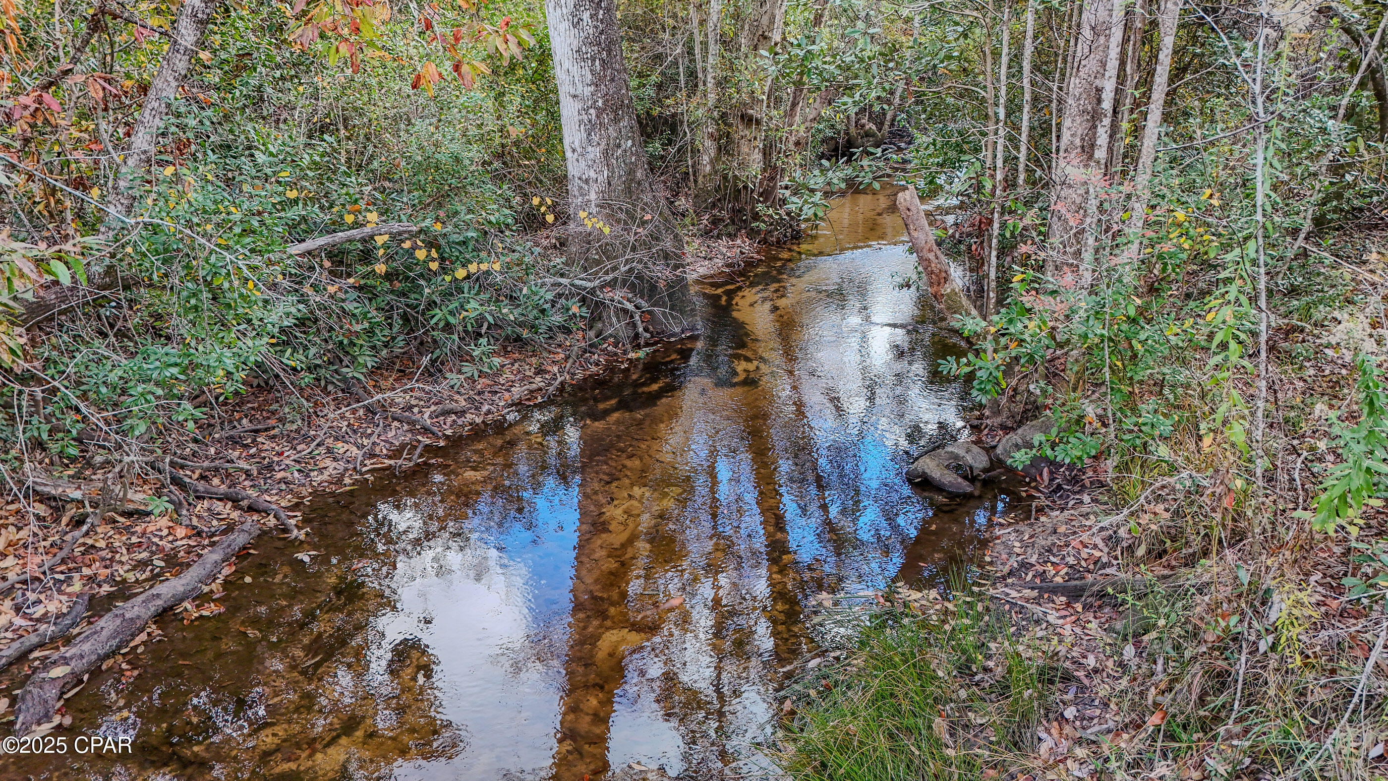 Image 8 For 12299 Nonawood Road