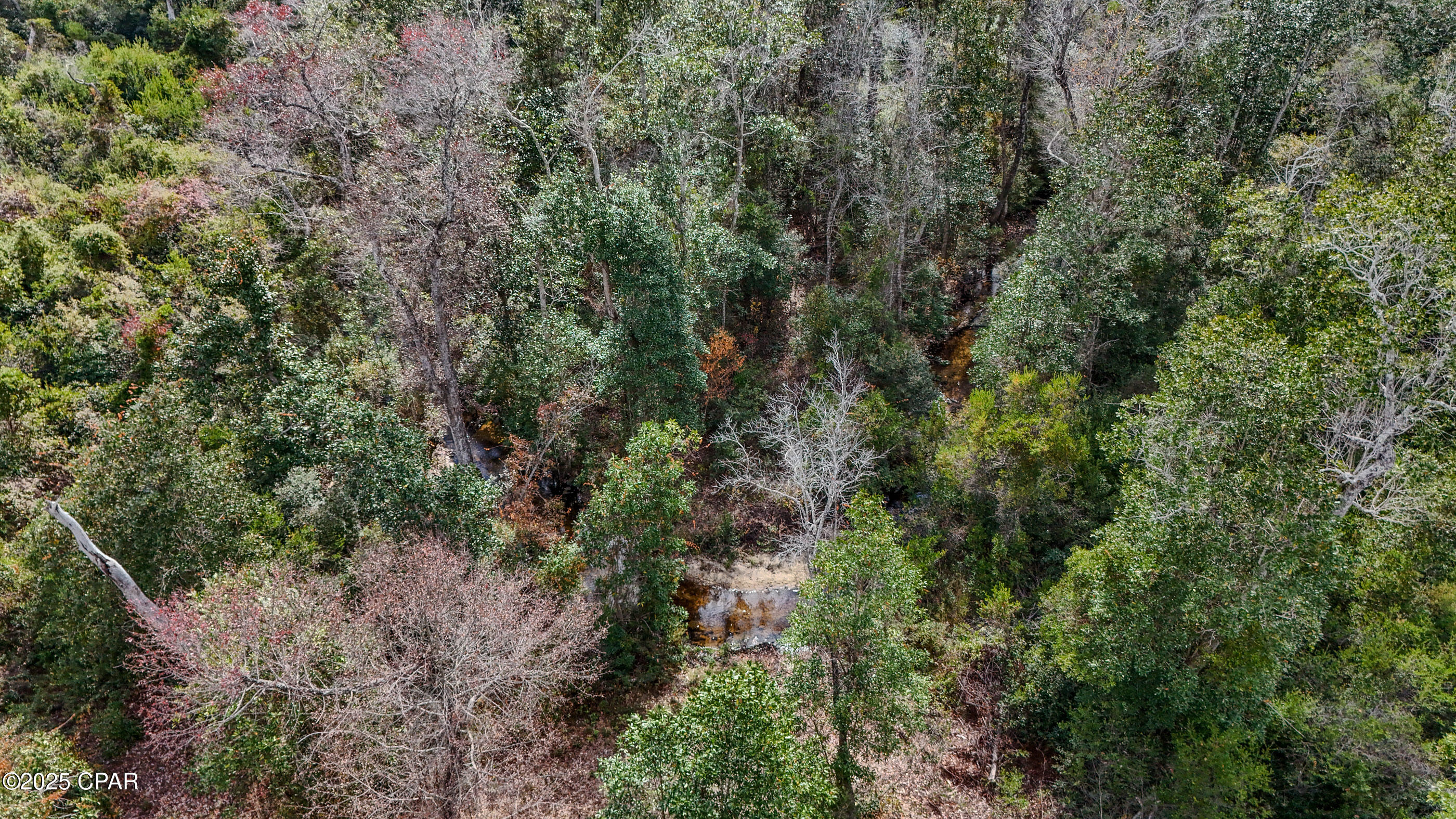 Listing photo id 12 for Xxx Hurst Rd  35 2n 12w