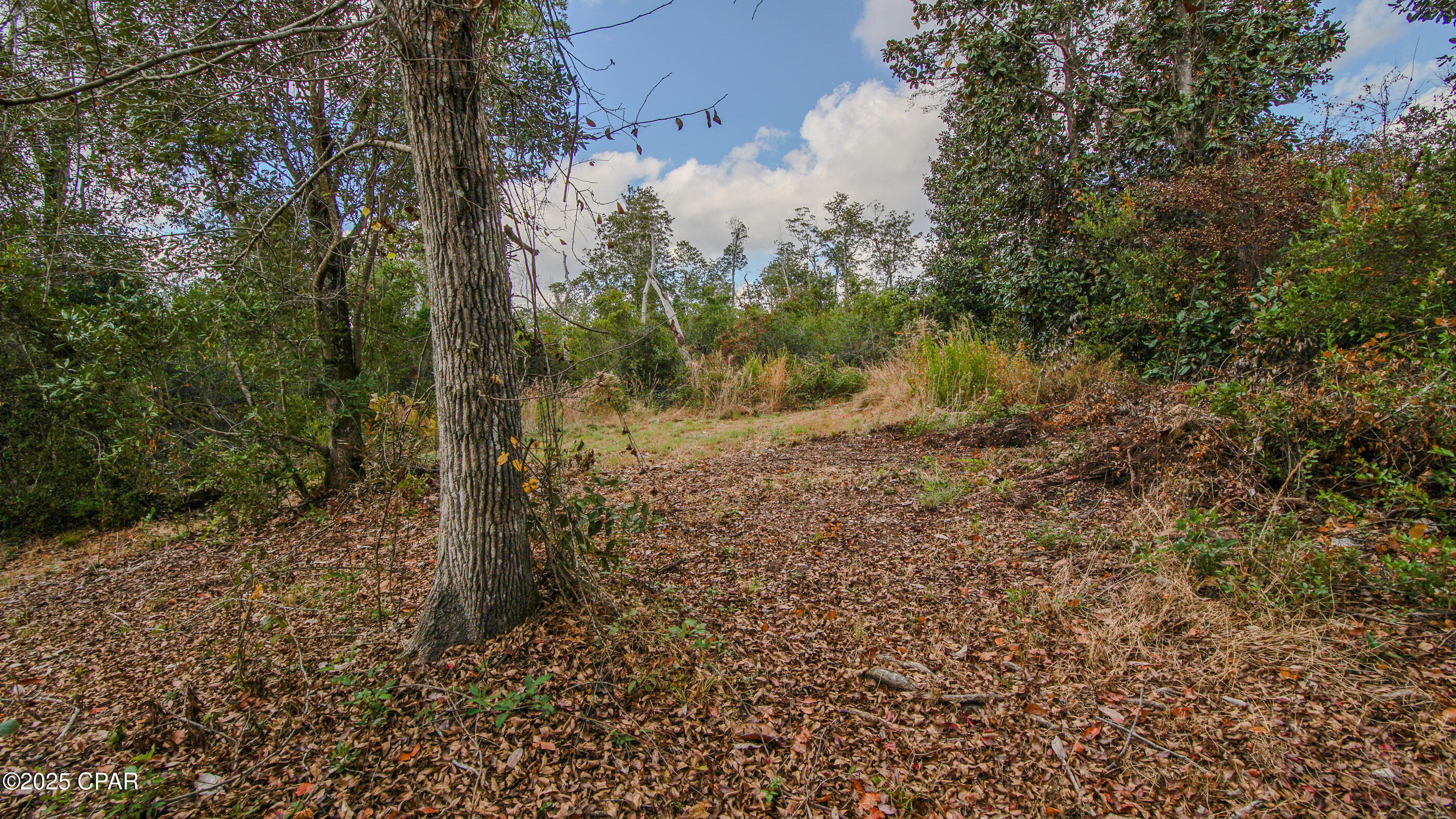 Listing photo id 17 for Xxx Hurst Rd  35 2n 12w