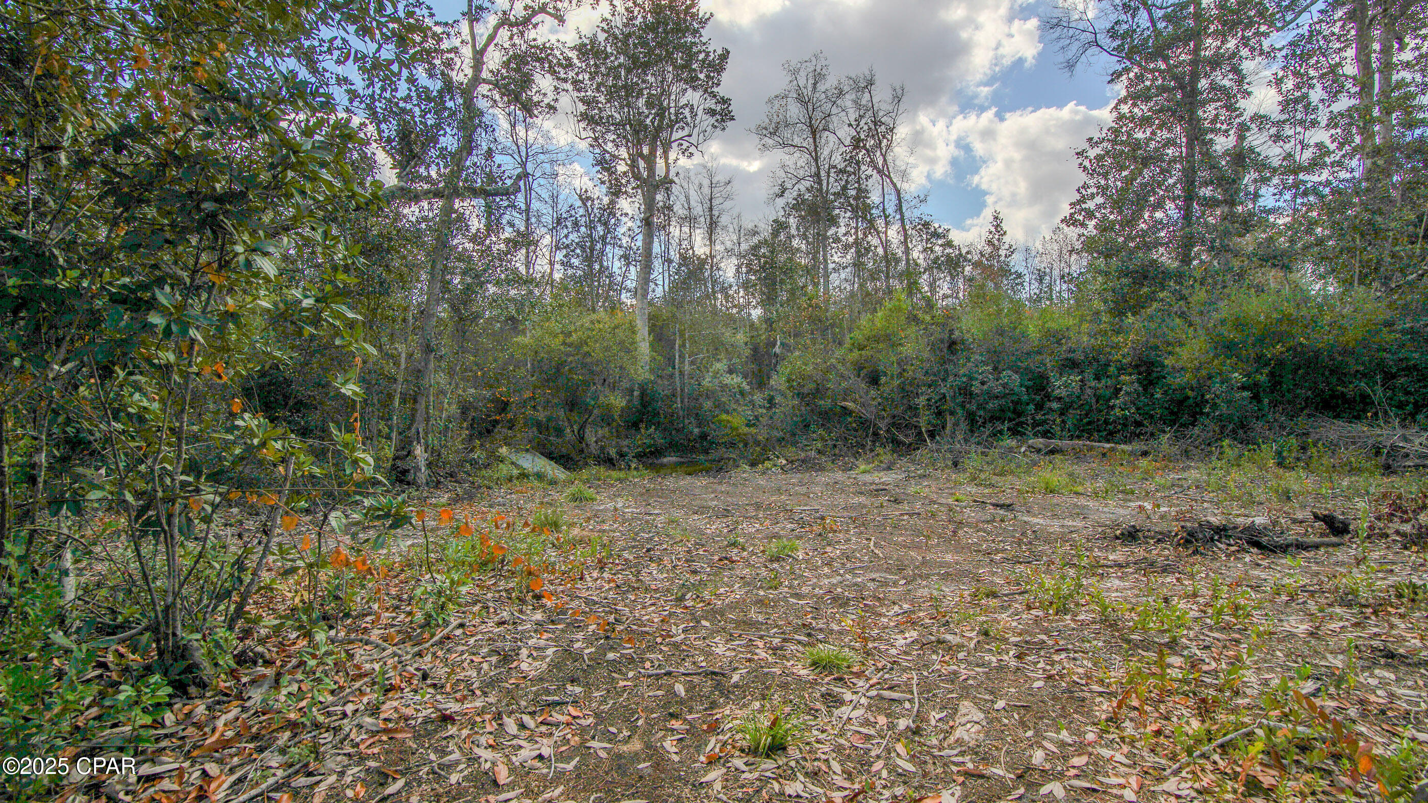 Listing photo id 19 for Xxx Hurst Rd  35 2n 12w