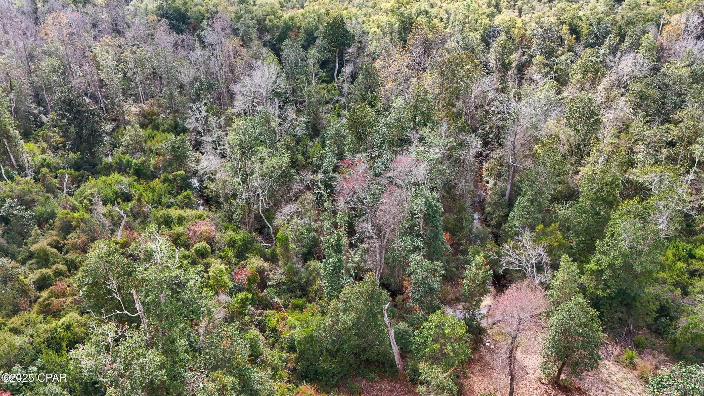 Listing photo id 2 for Xxx Hurst Rd  35 2n 12w