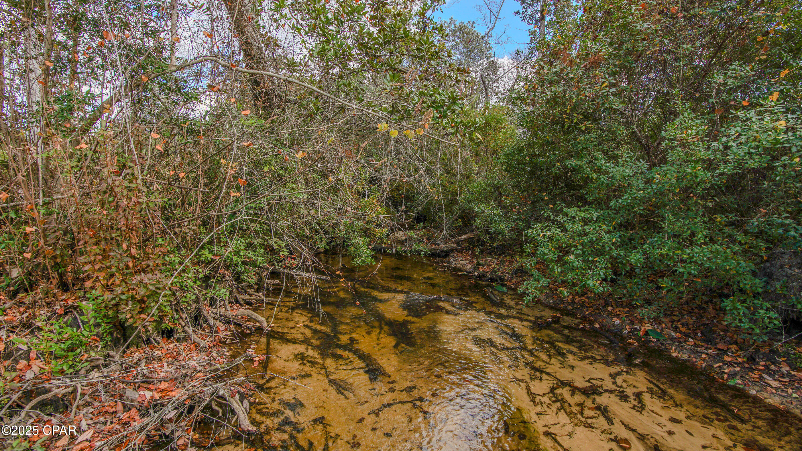 Listing photo id 20 for Xxx Hurst Rd  35 2n 12w