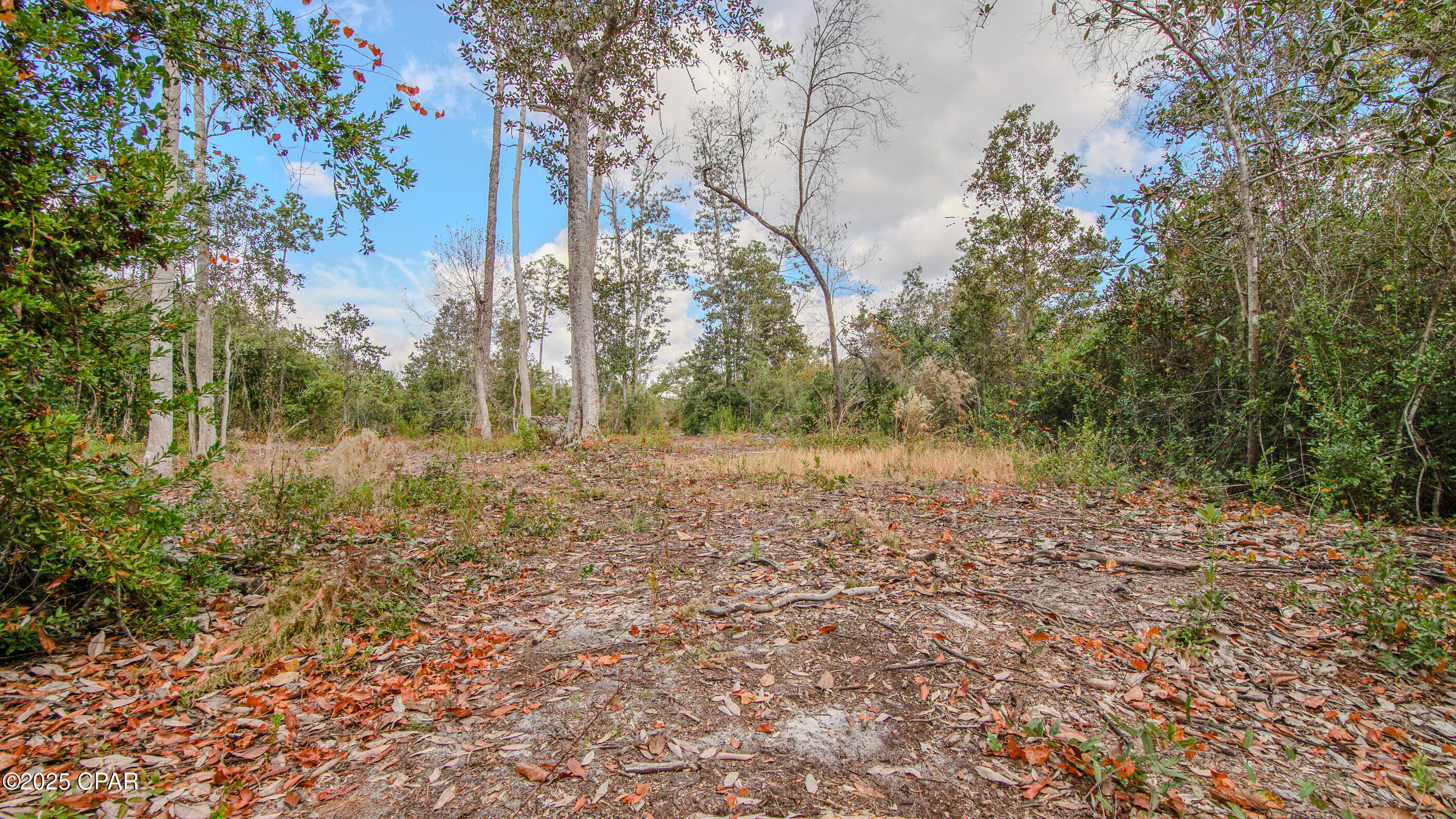 Listing photo id 22 for Xxx Hurst Rd  35 2n 12w