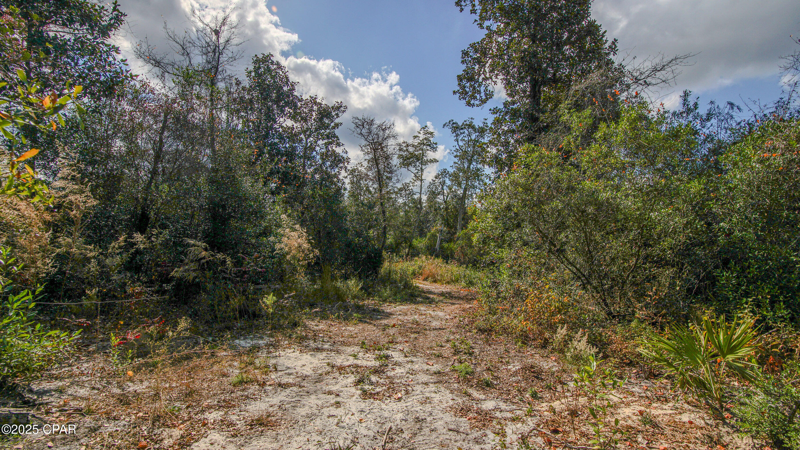 Listing photo id 27 for Xxx Hurst Rd  35 2n 12w