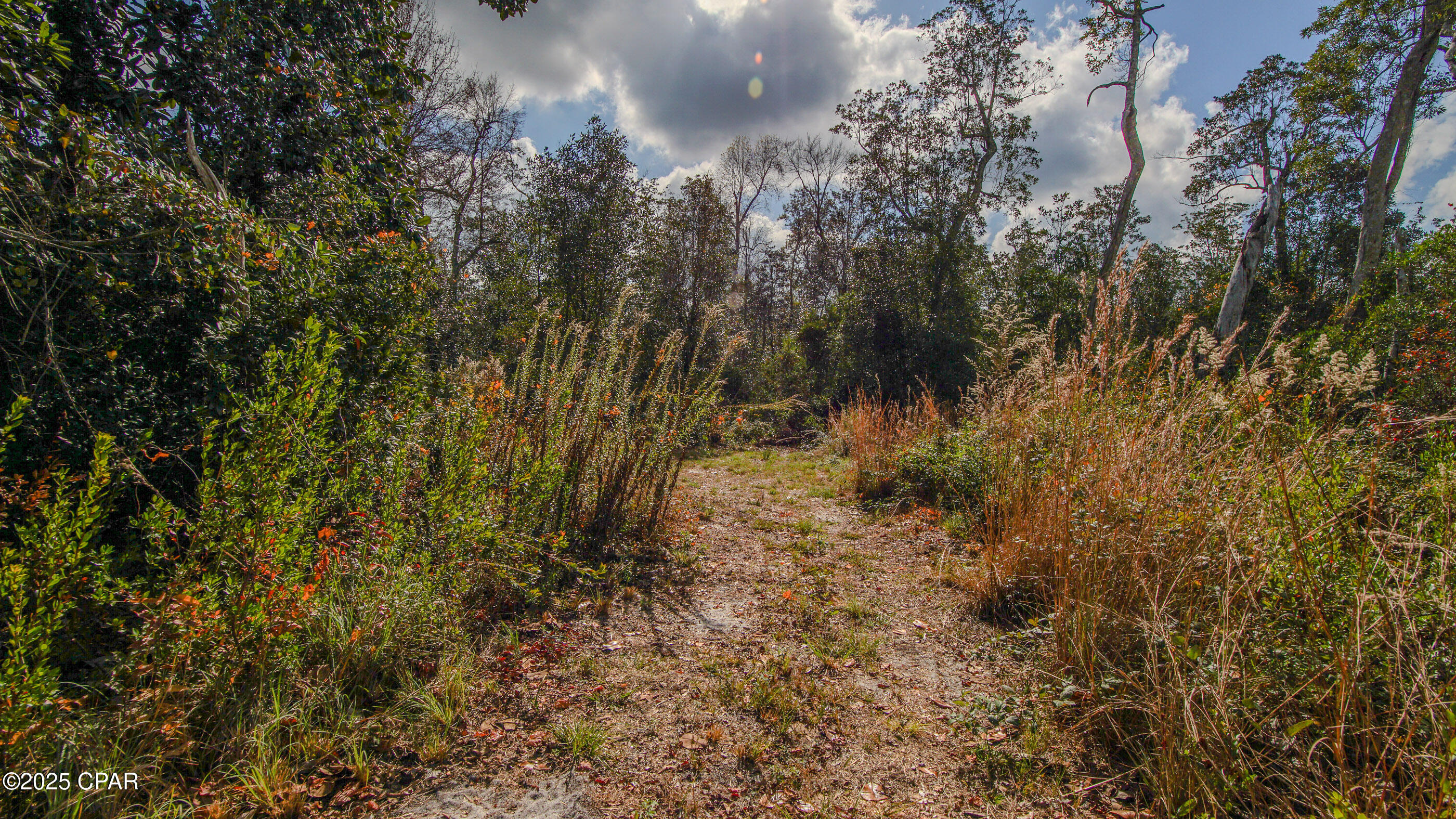 Listing photo id 28 for Xxx Hurst Rd  35 2n 12w