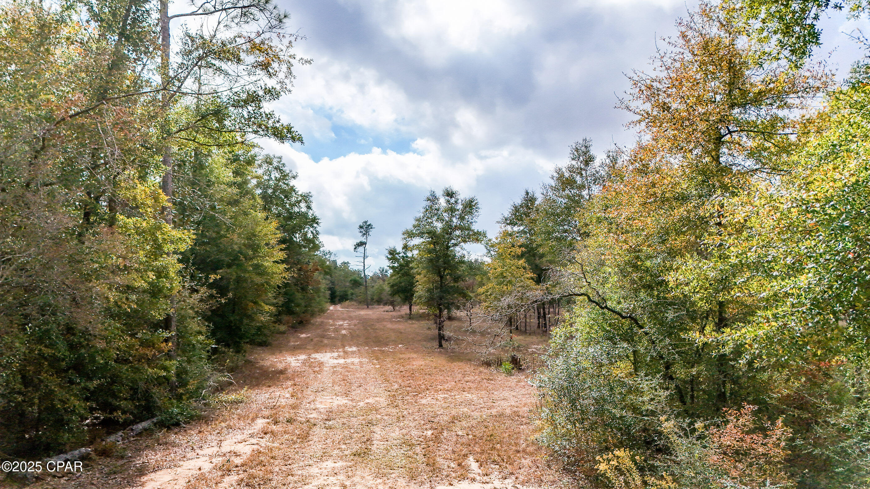 Listing photo id 8 for Xxx Hurst Rd  35 2n 12w