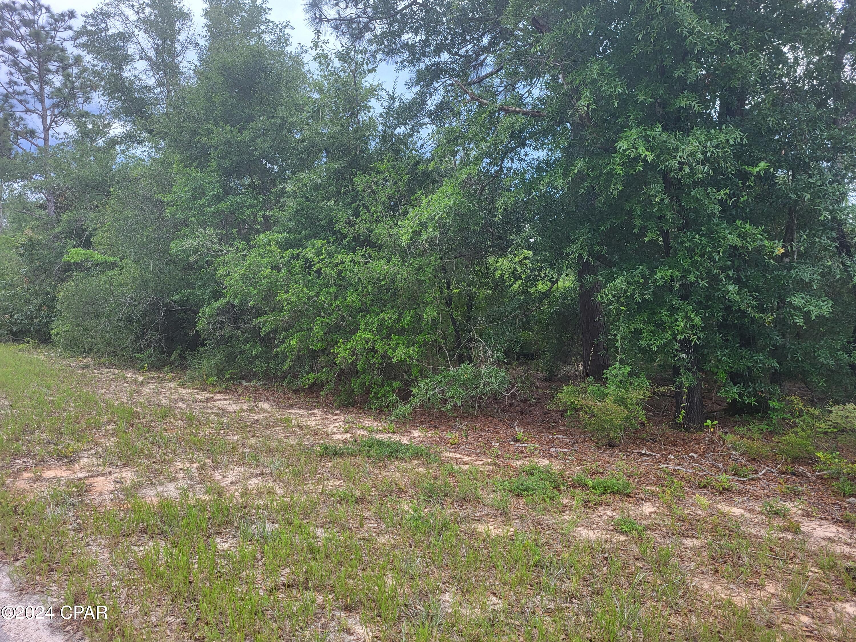 Details for 00 Cherry Circle, Marianna, FL 32448