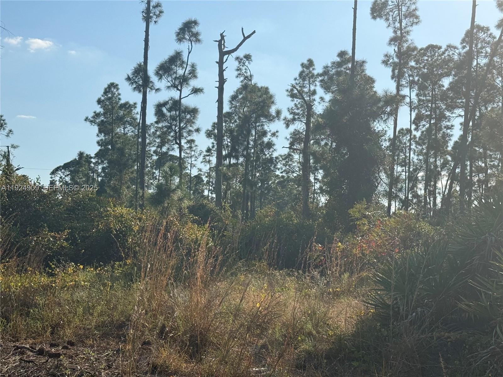 Lehigh Acres