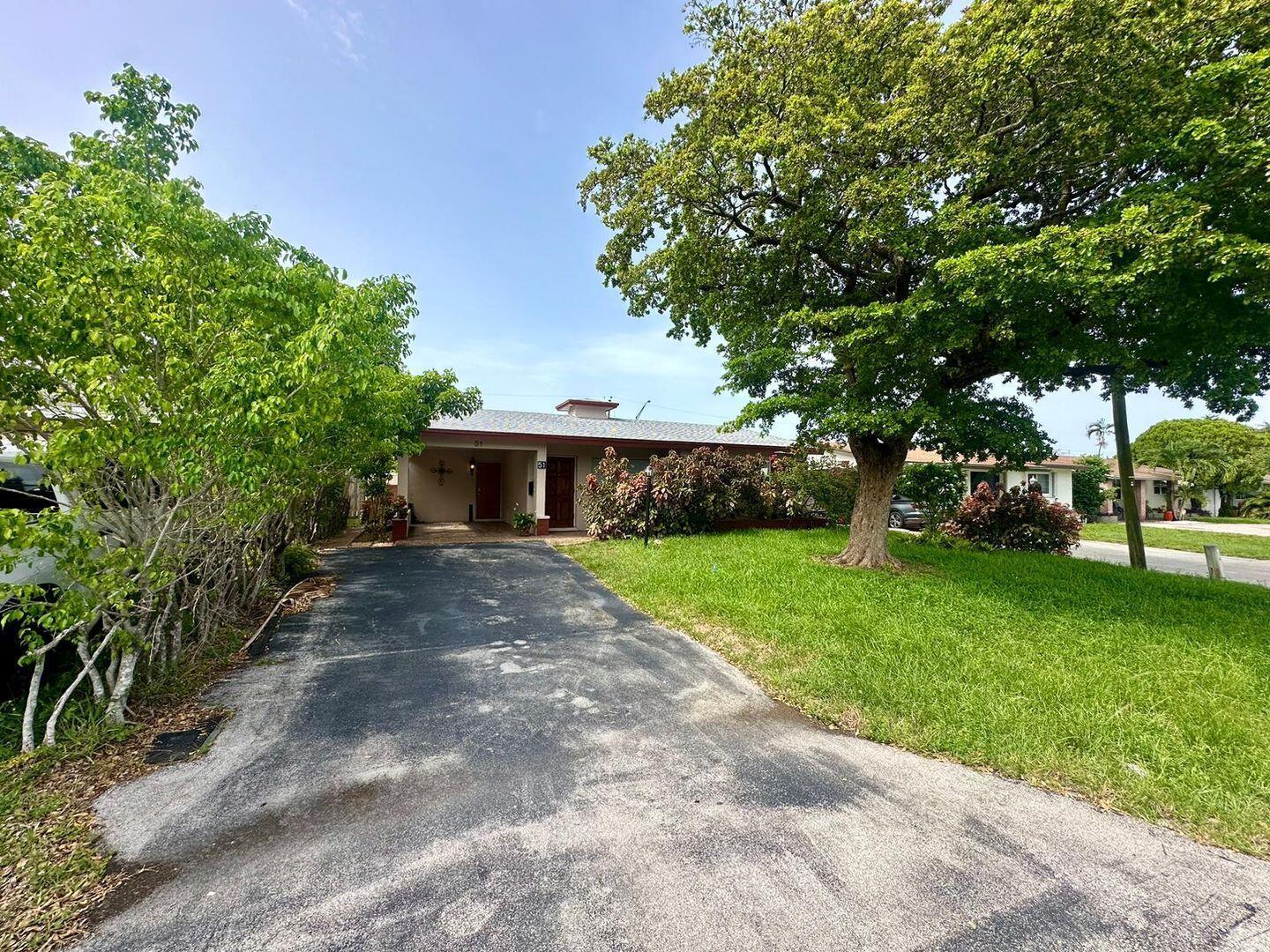 North Andrews Gardens Fir