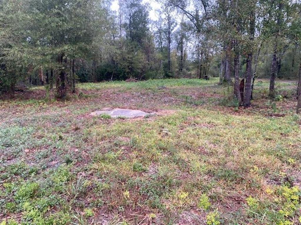 3058 Smith Ferry Road — photo 3