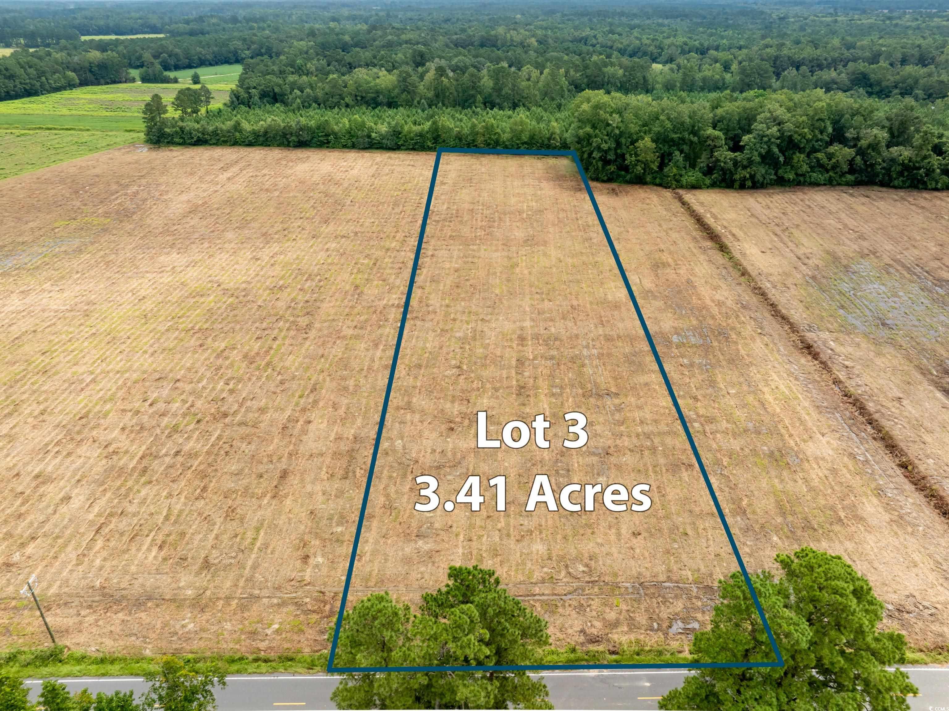 TBD Lot B3 Mount Olive Church Rd. Nichols, SC 29581