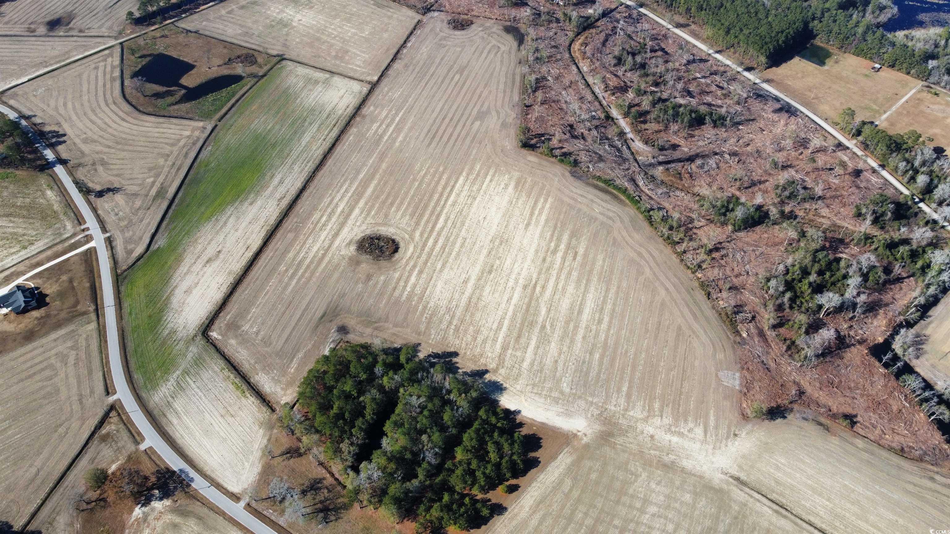 TBD Shelley Ln. Nichols, SC 29581