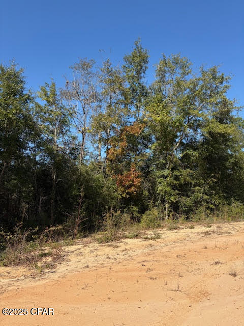 Details for 0 Southern Boulevard Lot 27, Alford, FL 32420