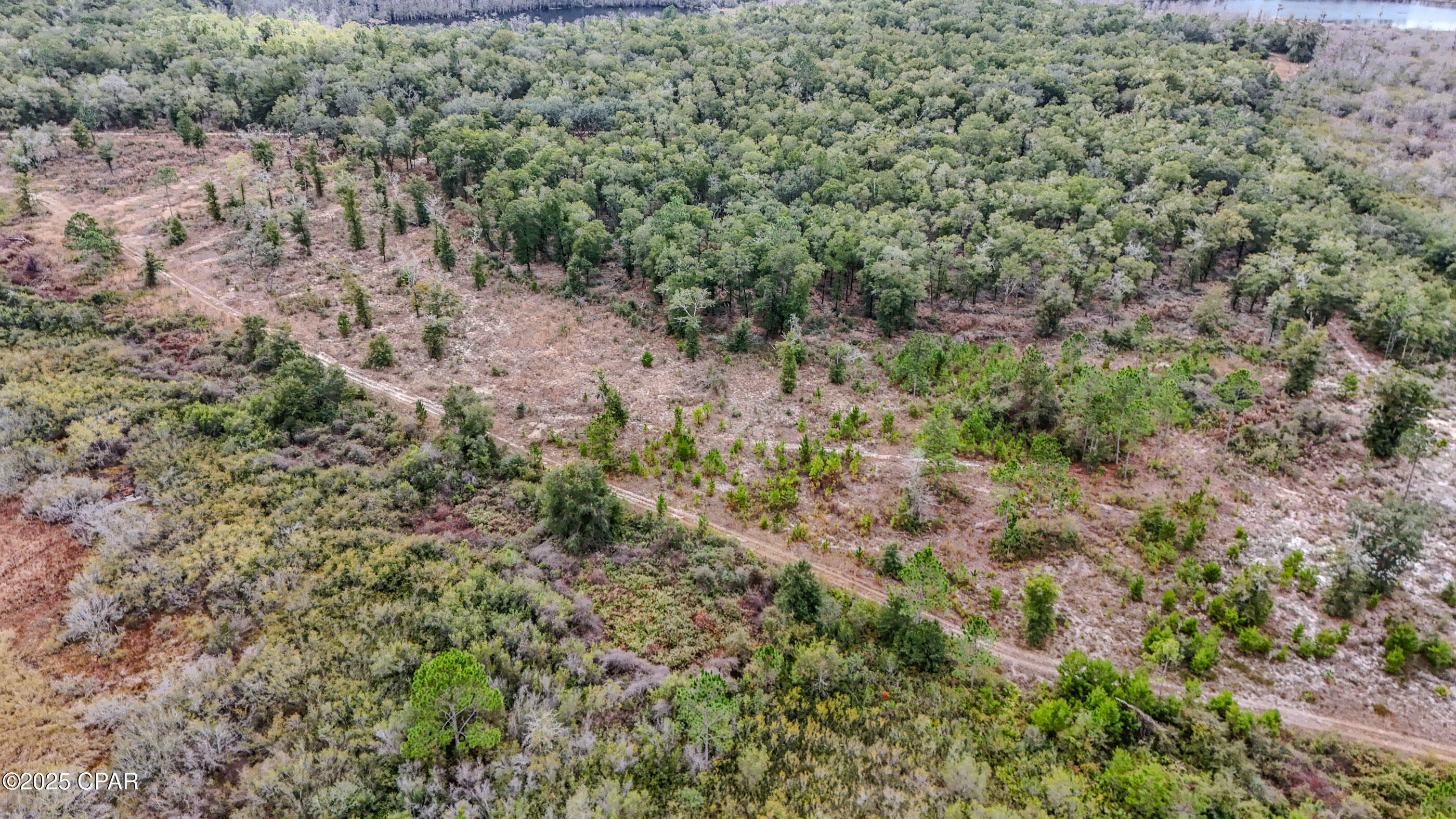 Image 3 For - Pine Log Road