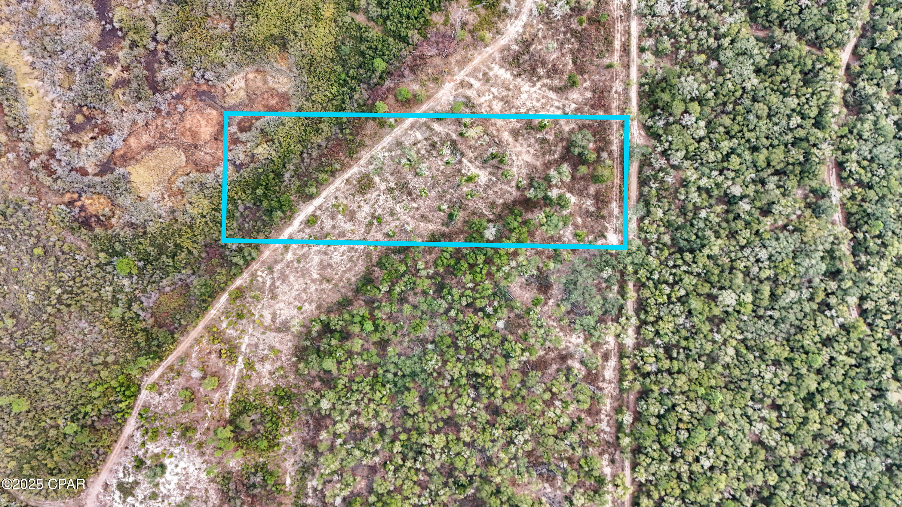 Image 6 For - Pine Log Road