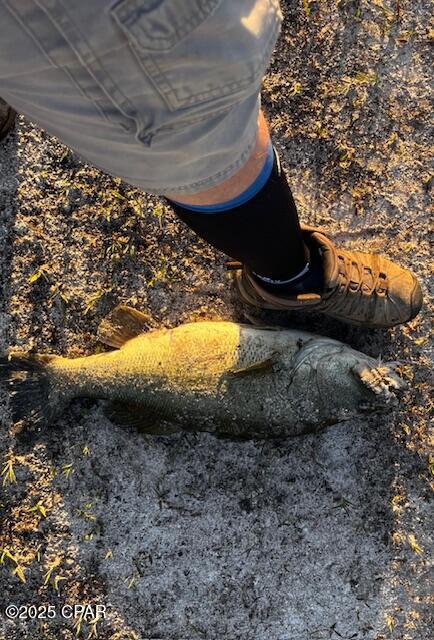 Image 45 For 4958 Lake Ridge Drive