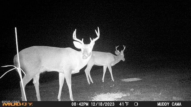 Image 47 For 4958 Lake Ridge Drive